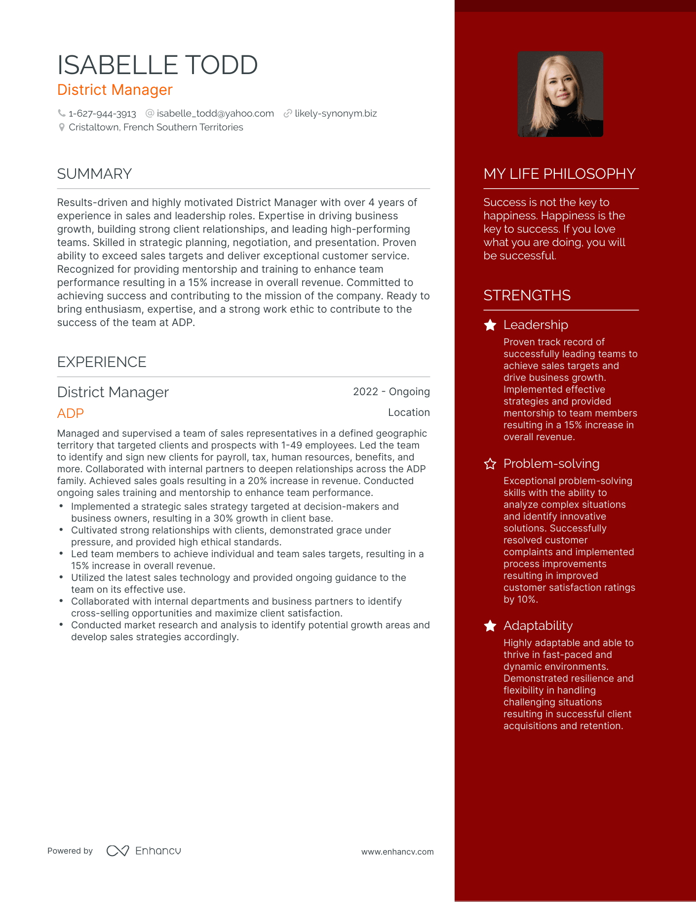 Modern District Manager Resume Example