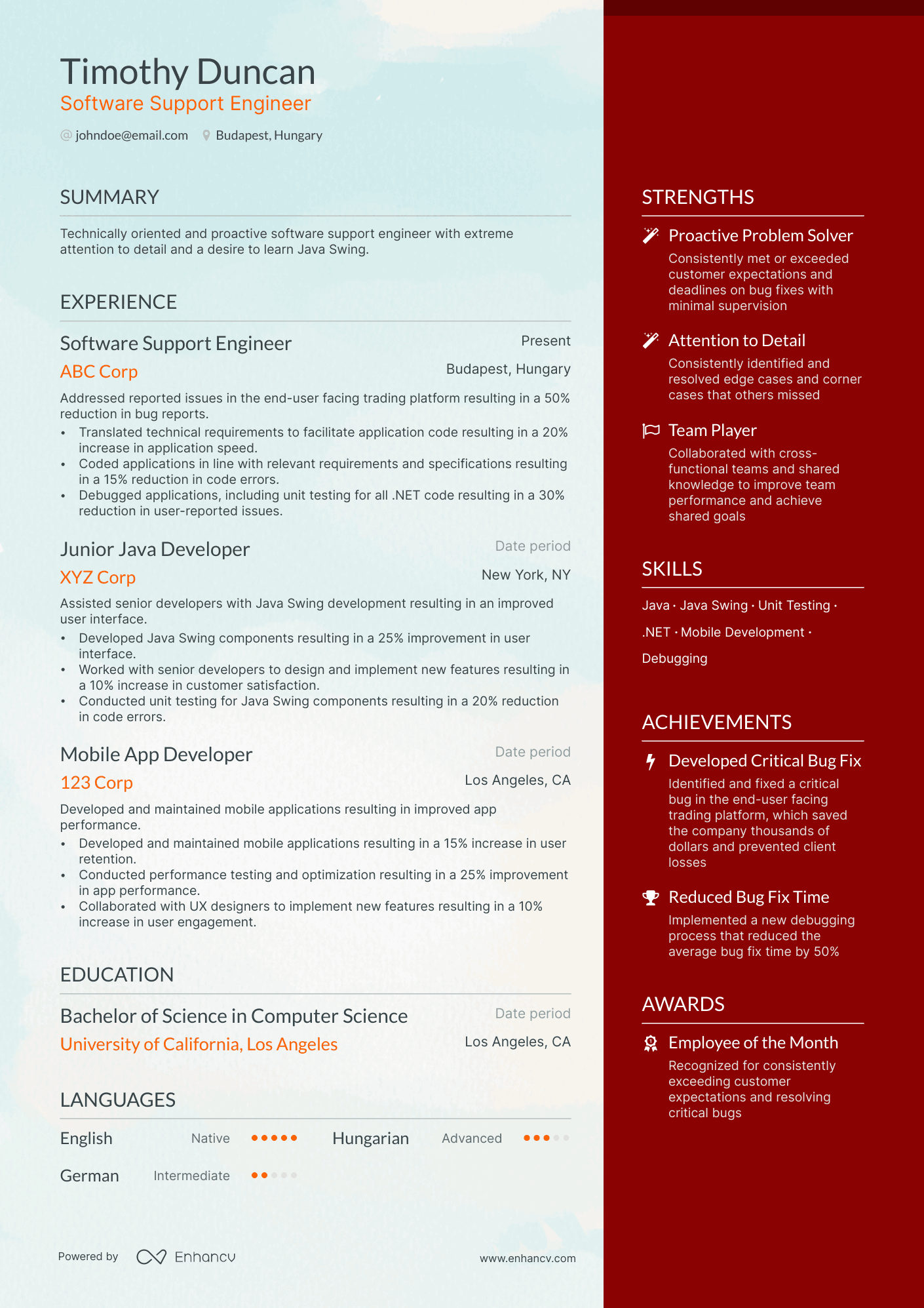 software support engineer resume example