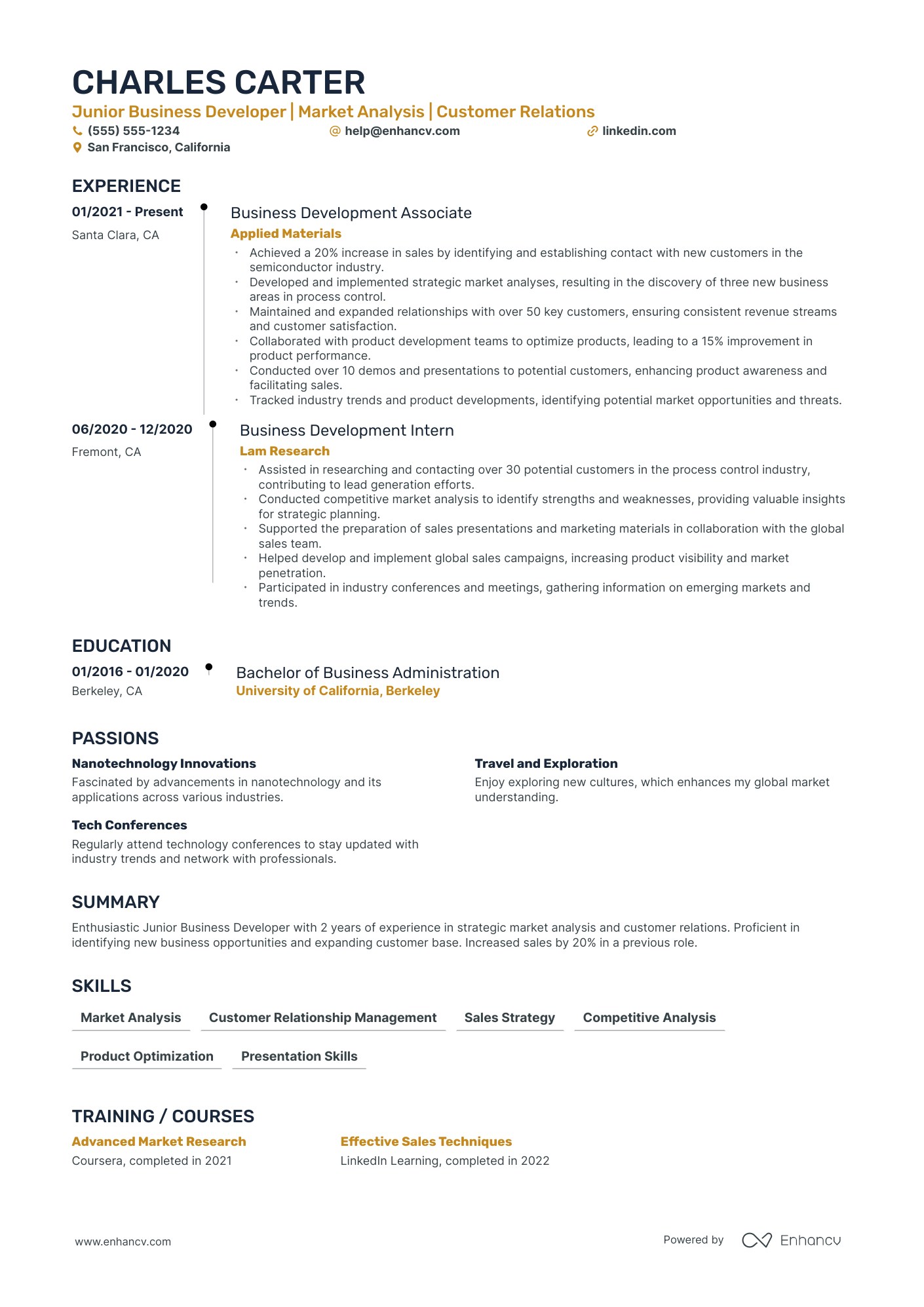 Global Business Development Manager resume example