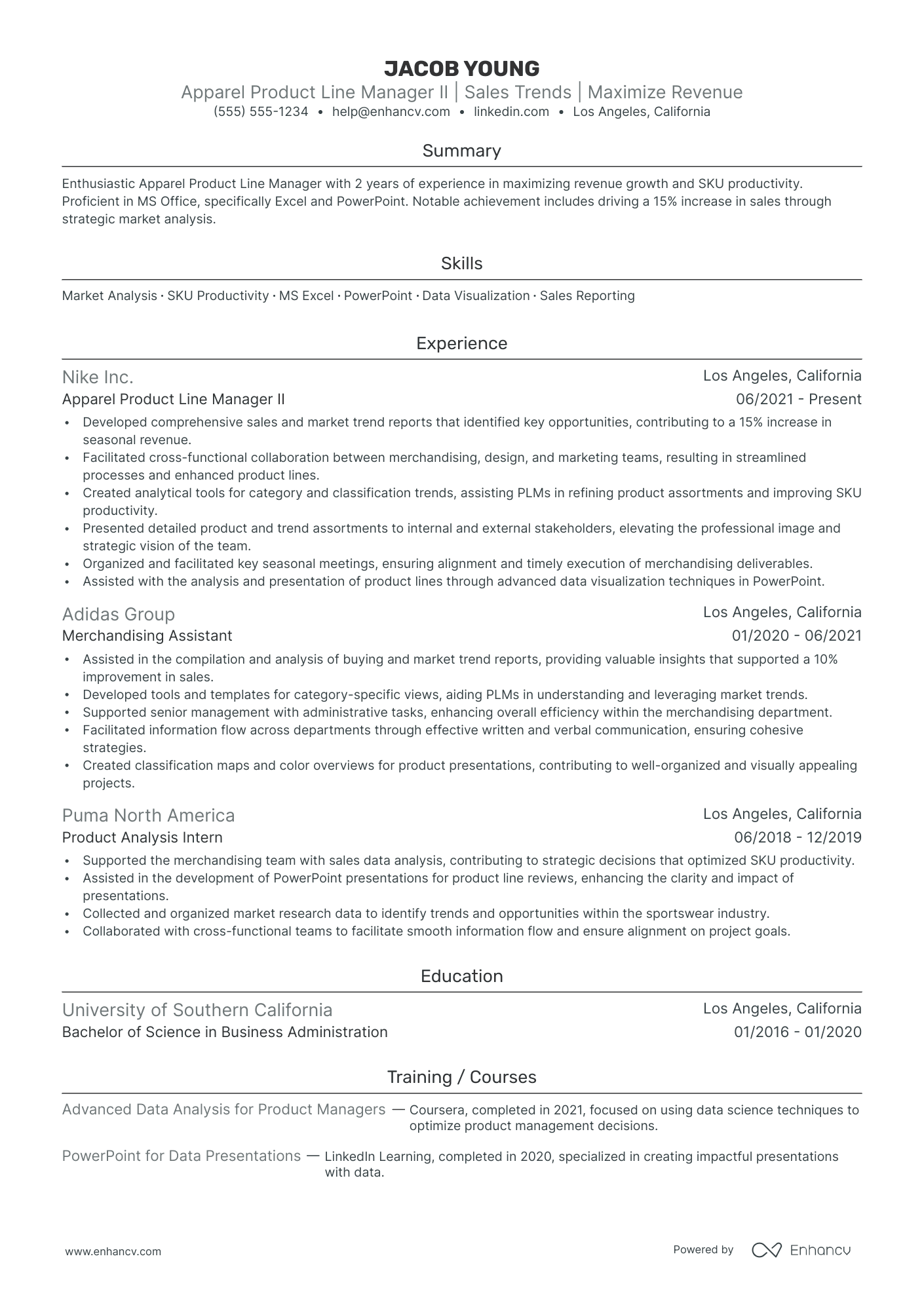 Product Line Manager resume example