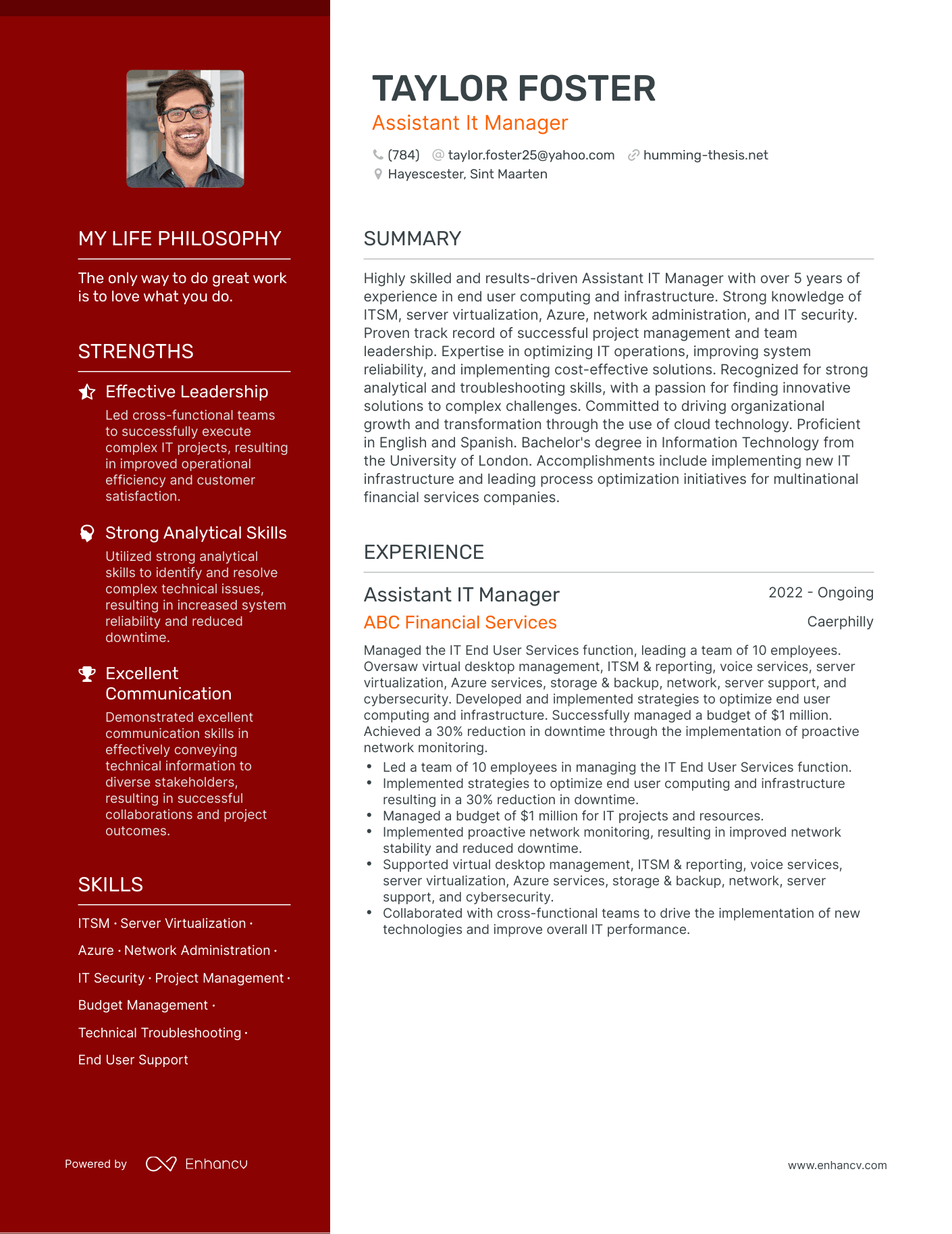 Creative Assistant It Manager Resume Example