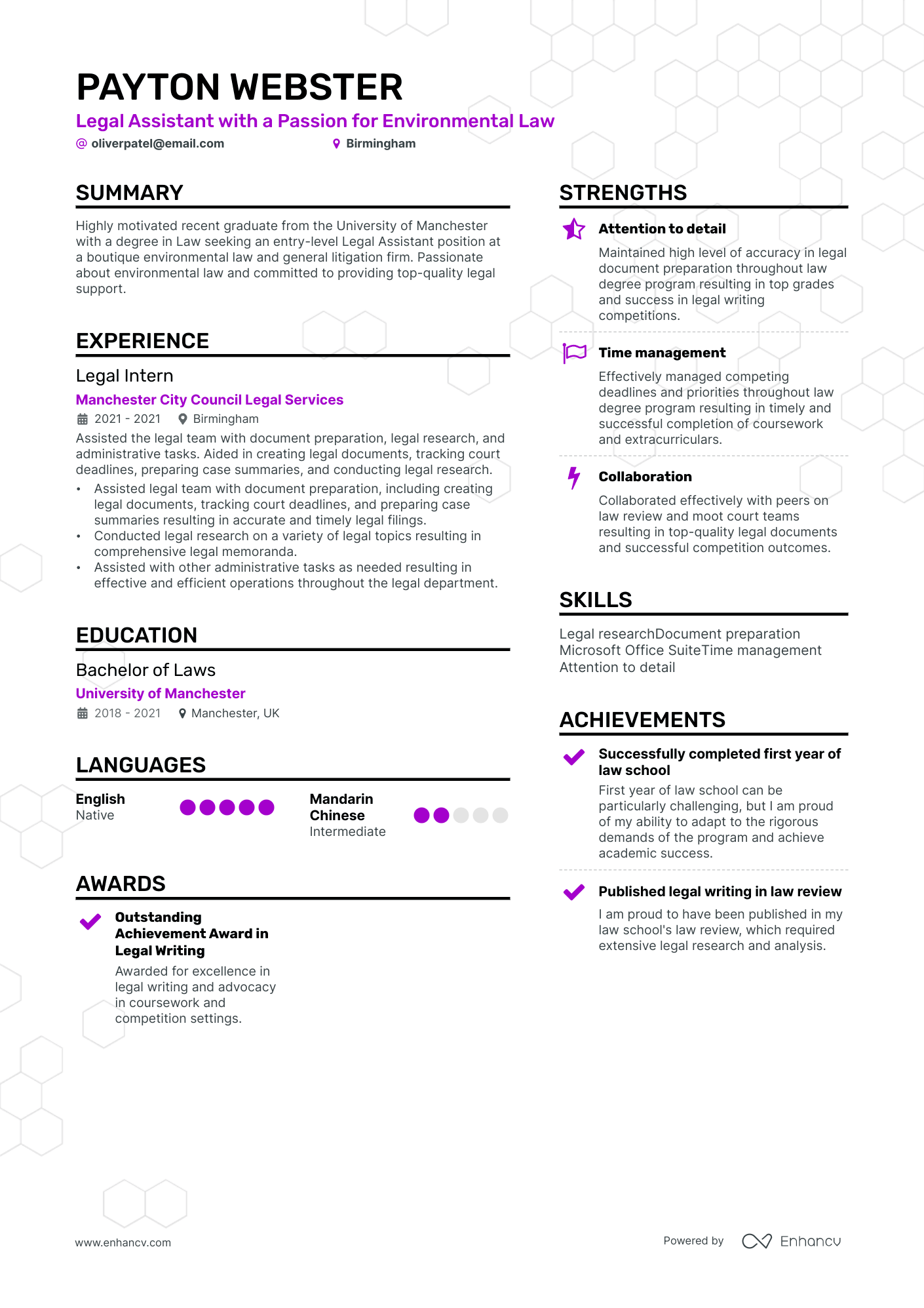 3 Legal CV Examples For 2024   Image 