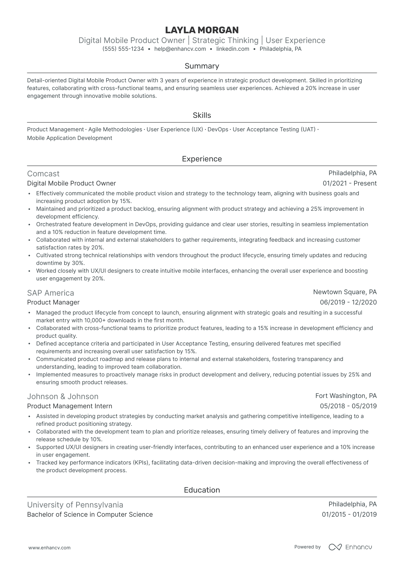 Mobile Product Owner Resume Example Resume Example