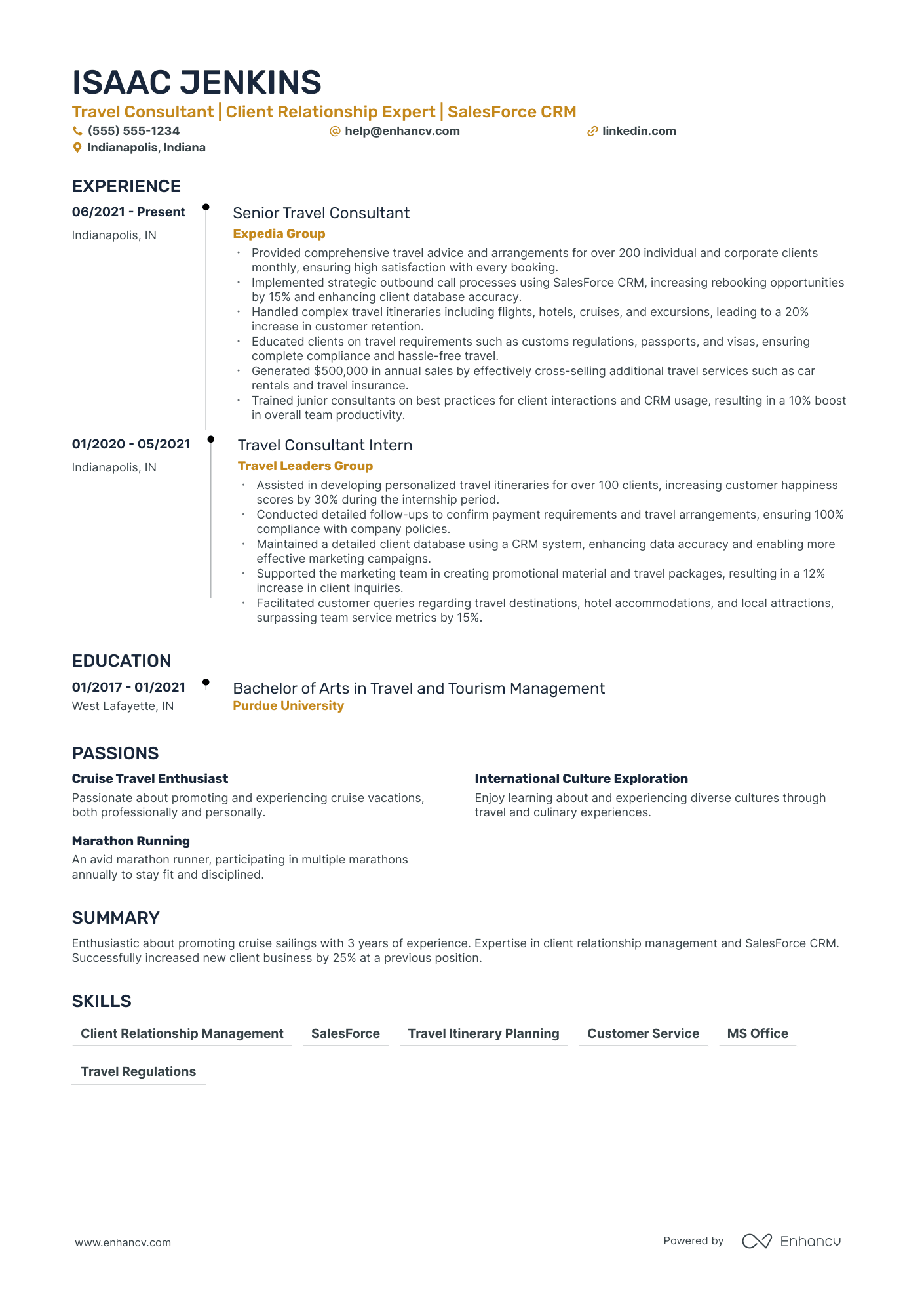 Cruise Travel Agent resume example