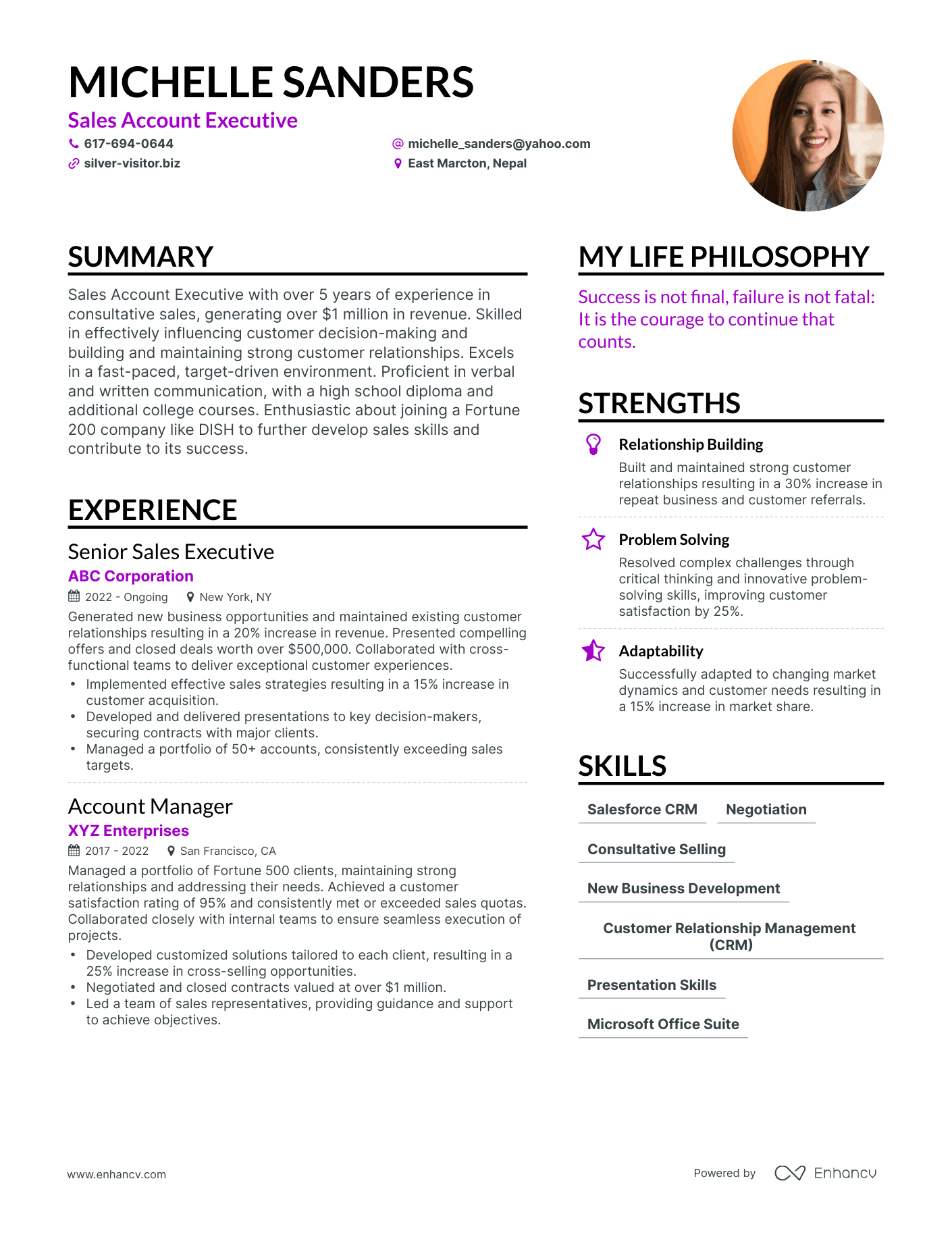 Modern Sales Account Executive Resume Example