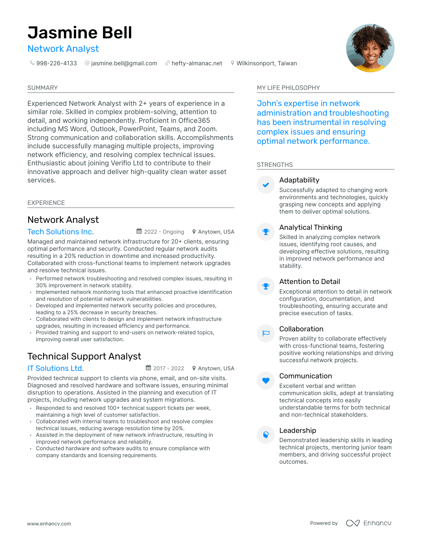 Modern Network Analyst Resume Example