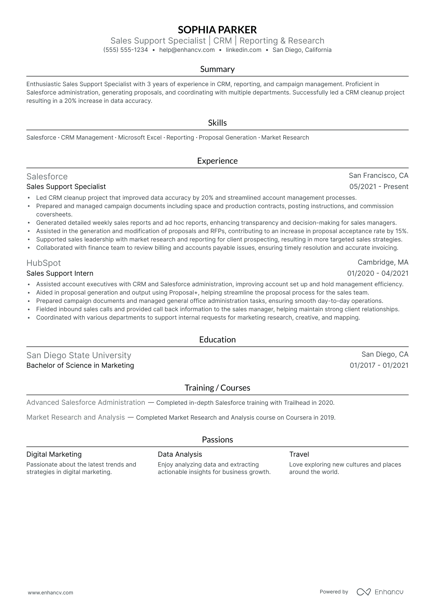 Technical Sales Associate resume example