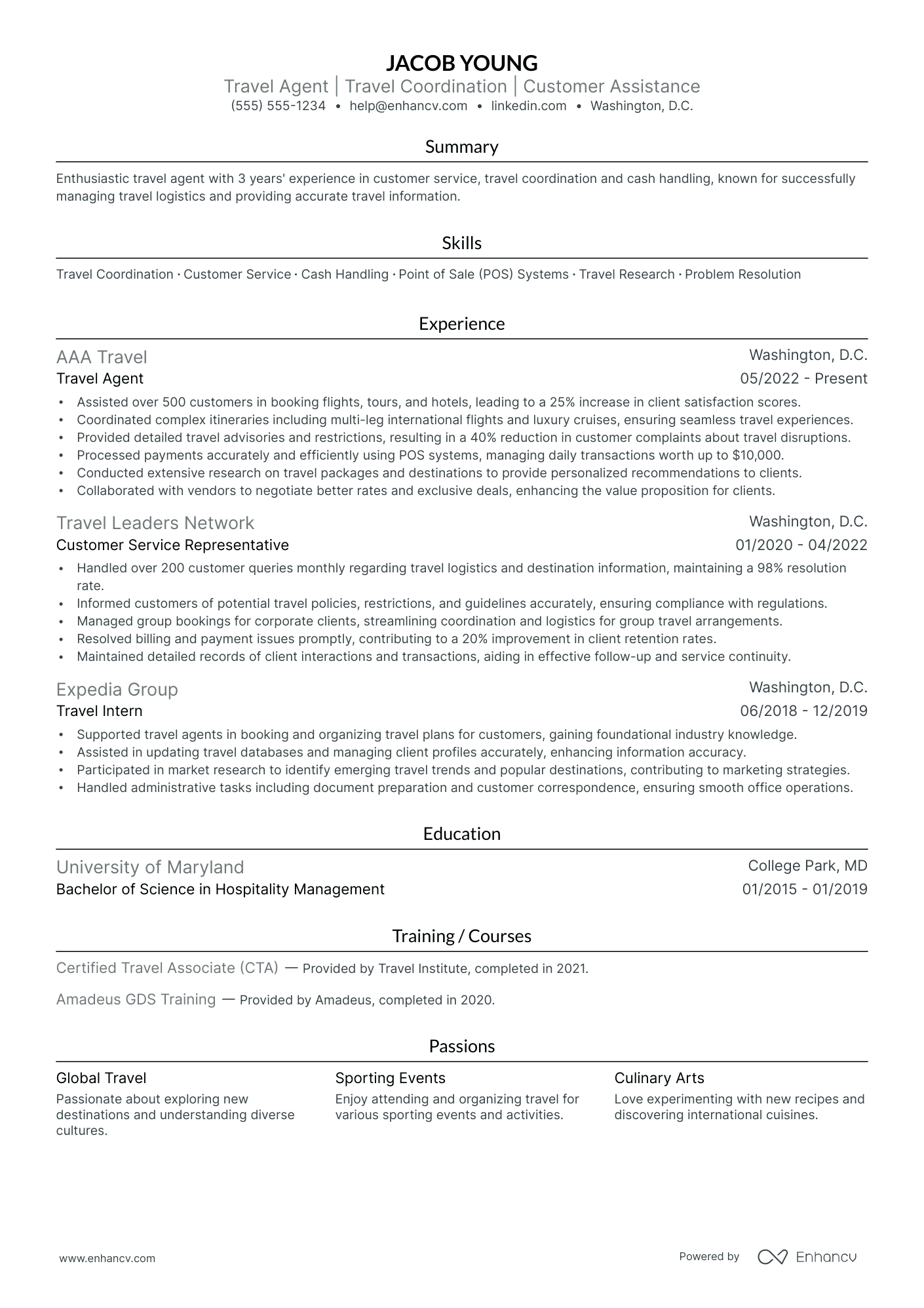 Leisure Travel Agent resume example