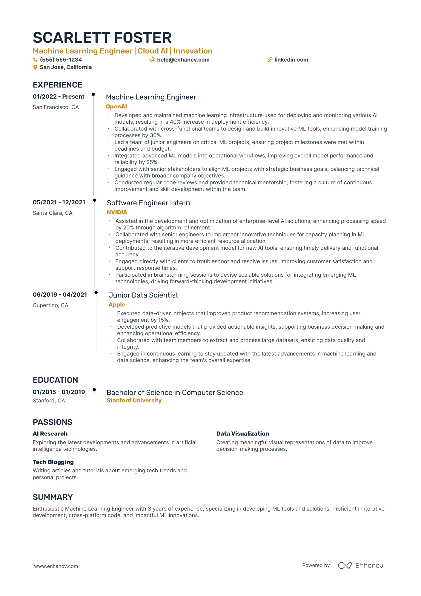 Director of Machine Learning Resume Example Resume Example