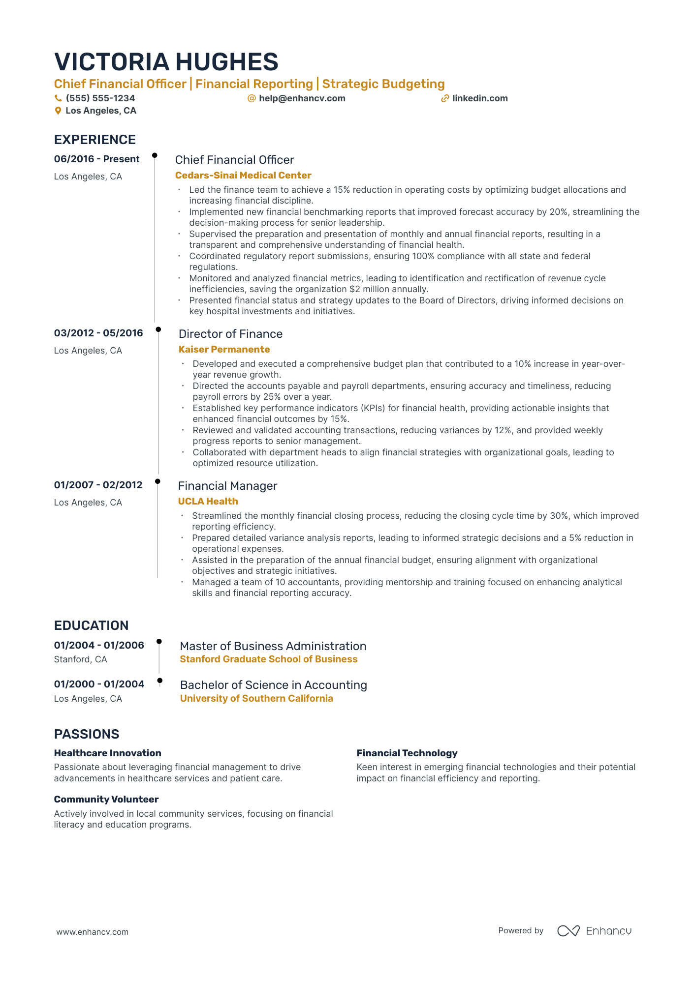 Junior Chief Revenue Officer Resume Example Resume Example