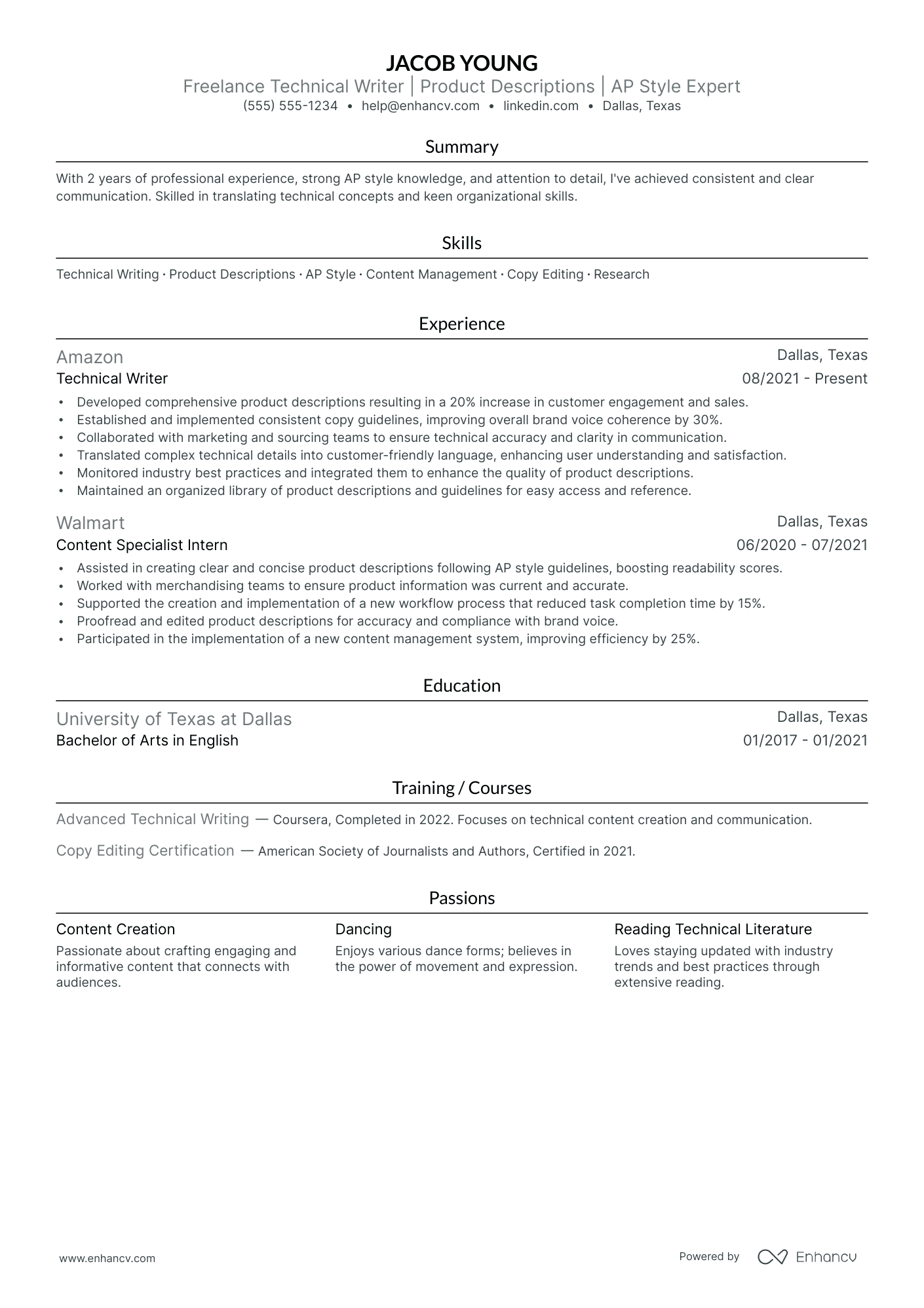 Freelance Technical Writer resume example