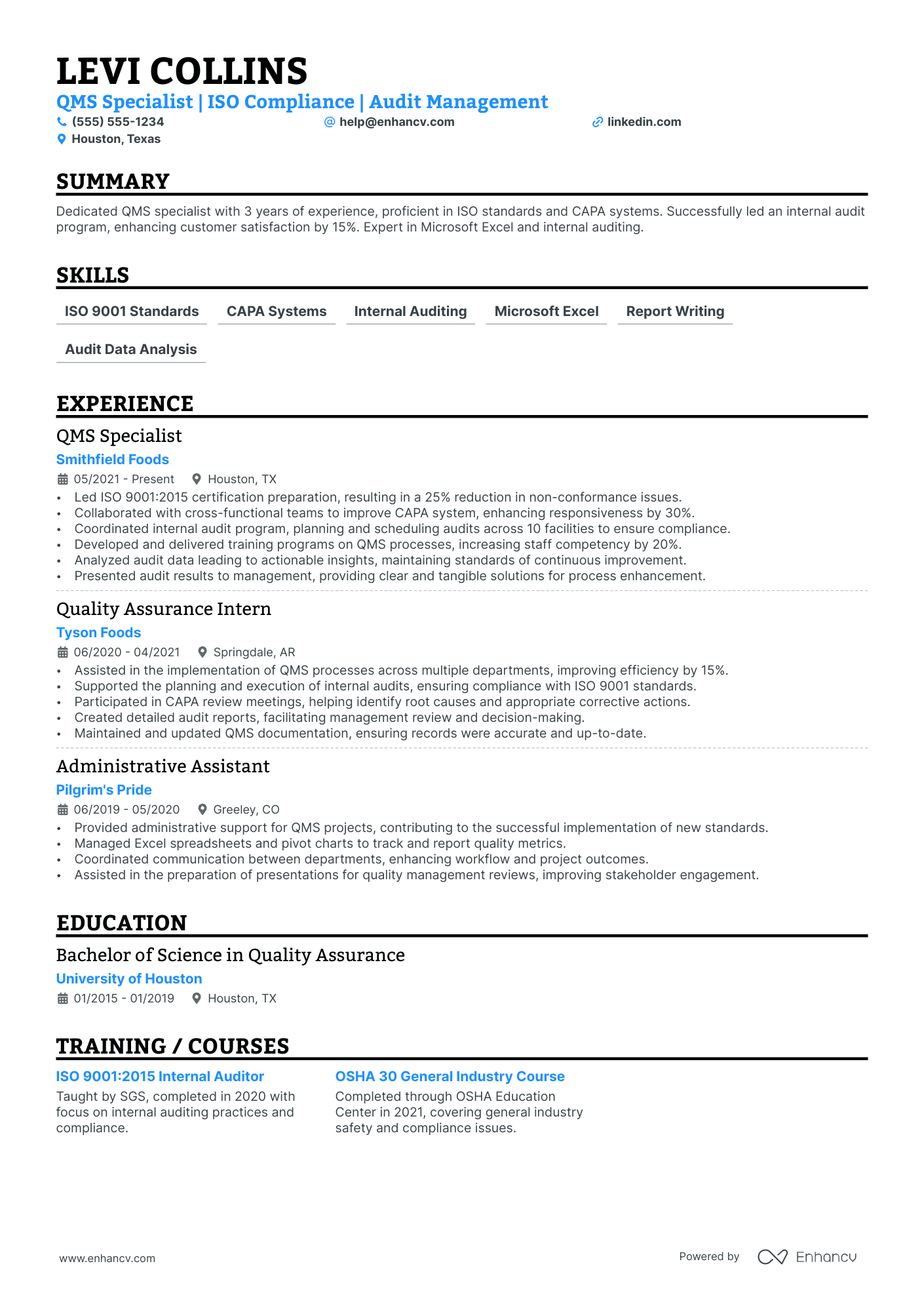 Lead Auditor Resume Example Resume Example