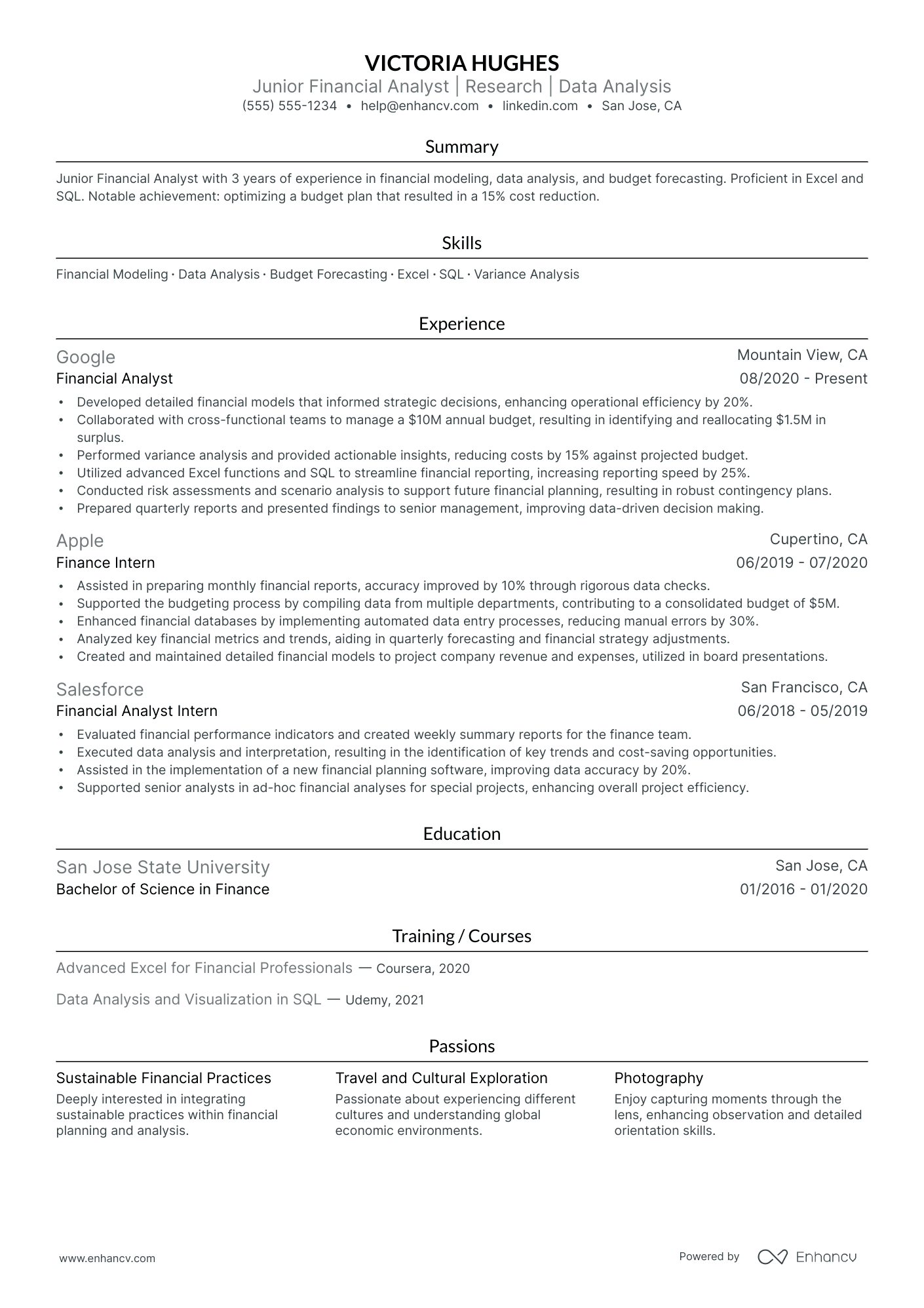 Financial Research Analyst resume example