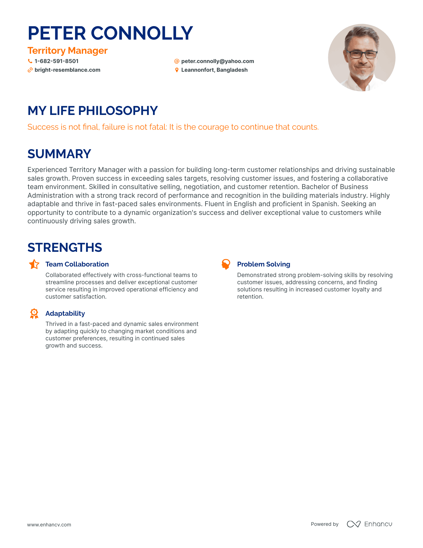 Creative Territory Manager Resume Example