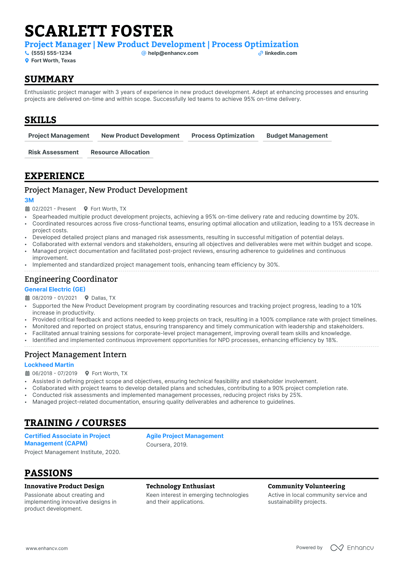 Development Program Manager resume example