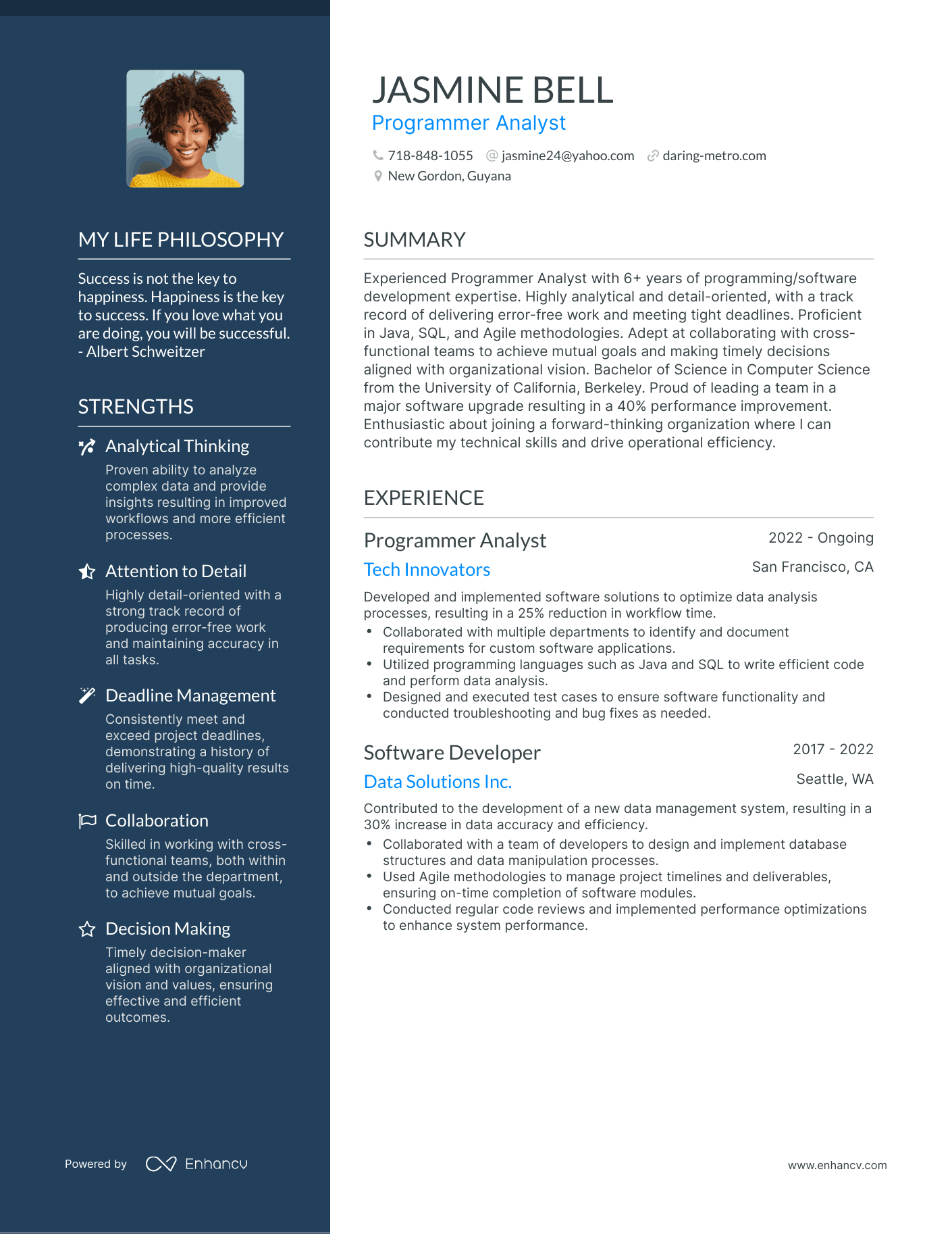Creative Programmer Analyst Resume Example