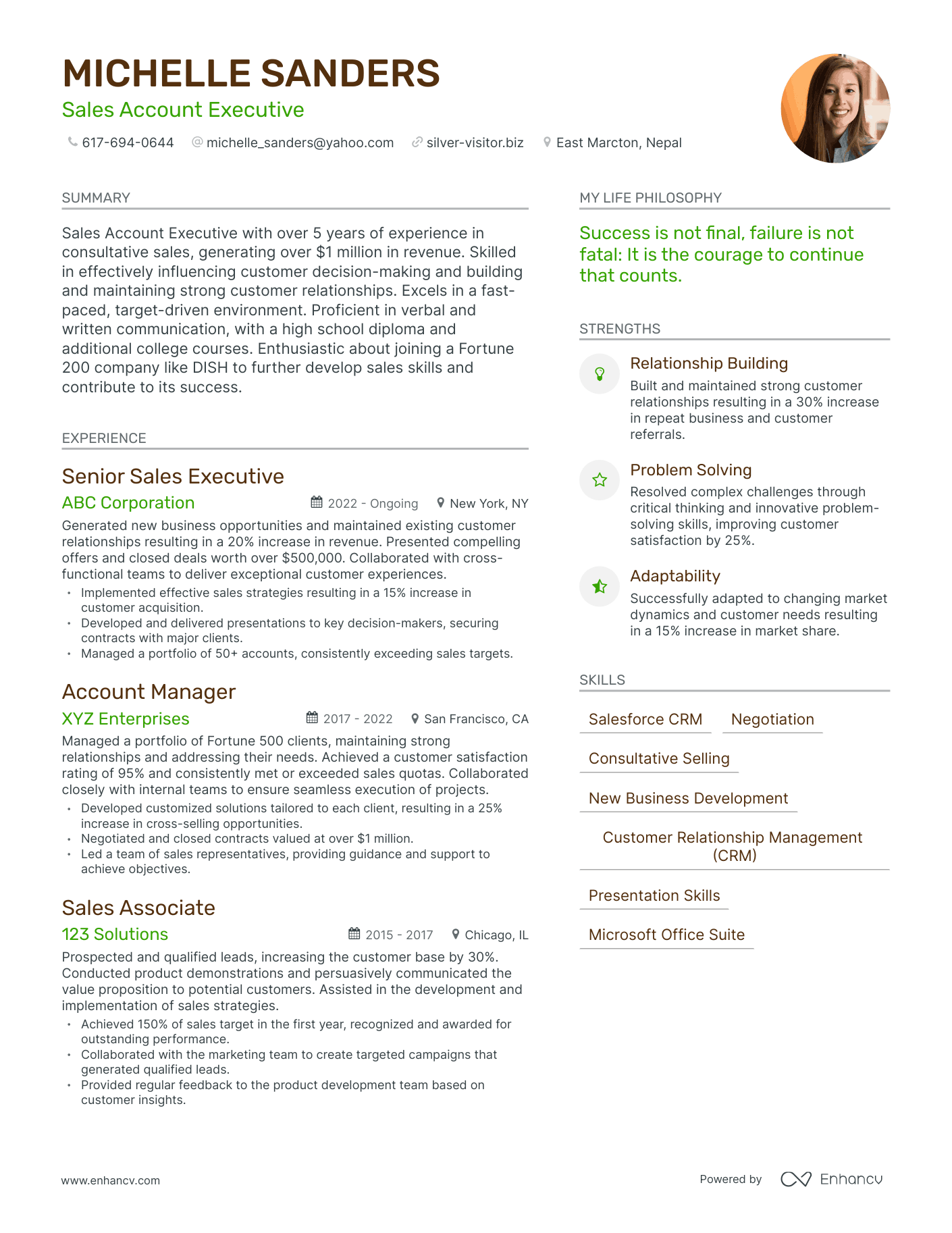 Sales Account Executive resume example