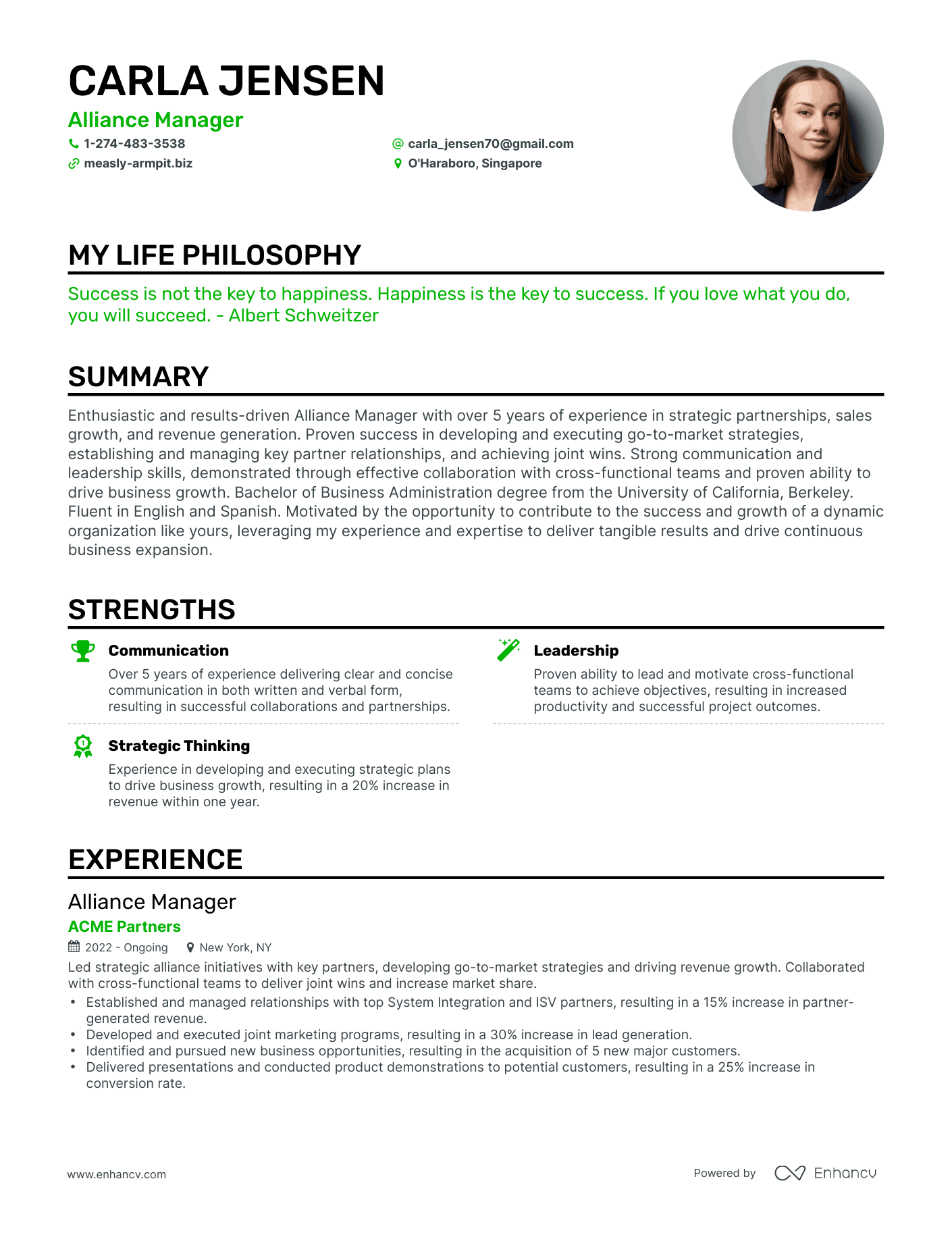 Creative Alliance Manager Resume Example