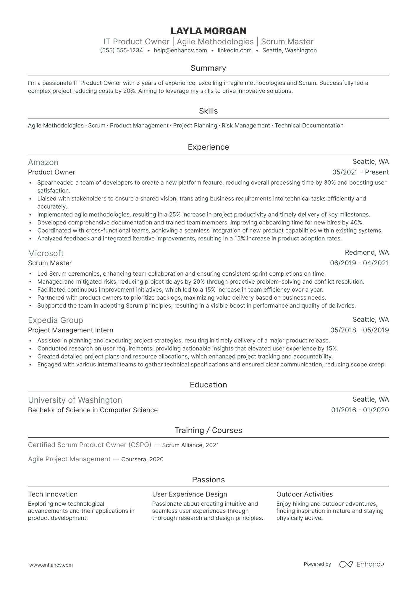 Software Product Owner resume example