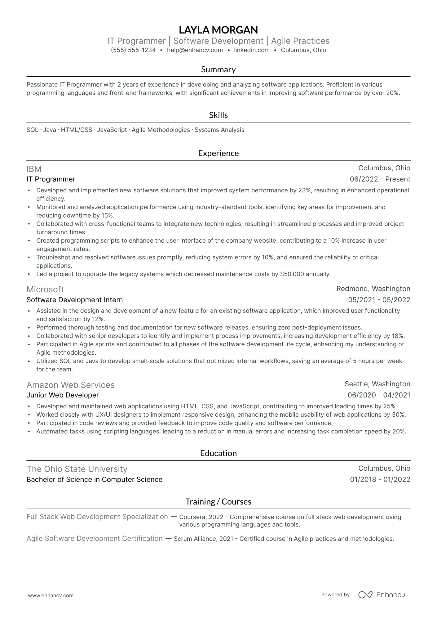 Front End Programmer resume example