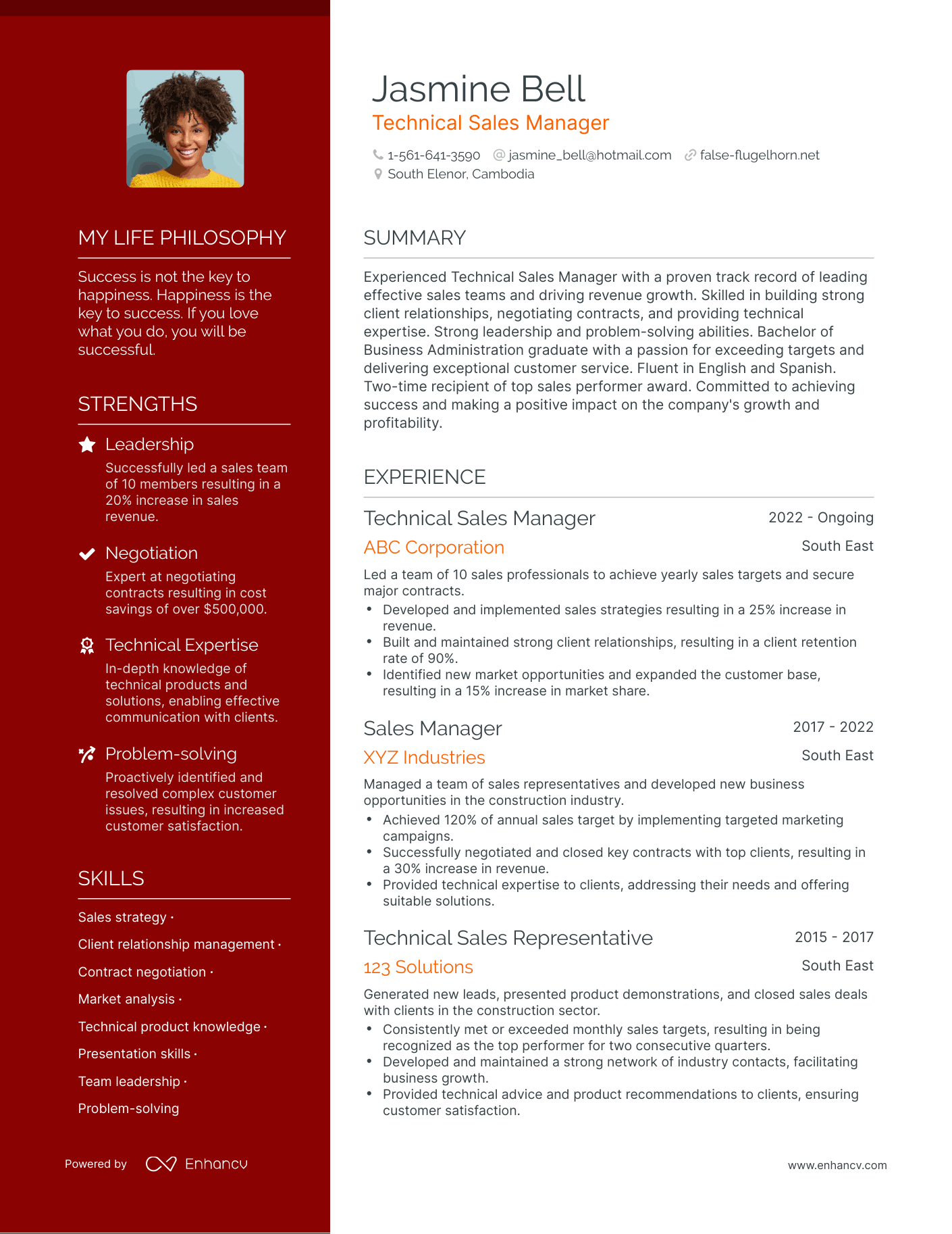 Creative Technical Sales Manager Resume Example