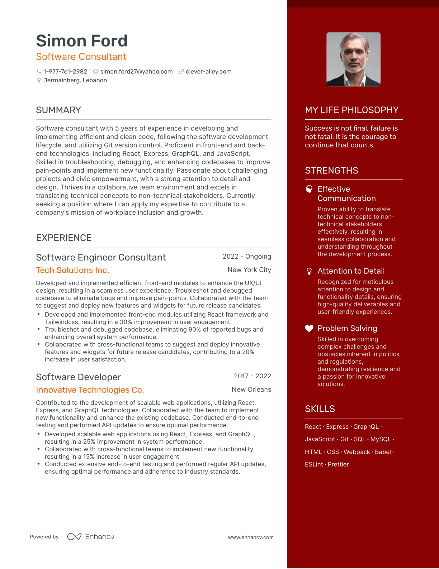 Software Consultant resume example