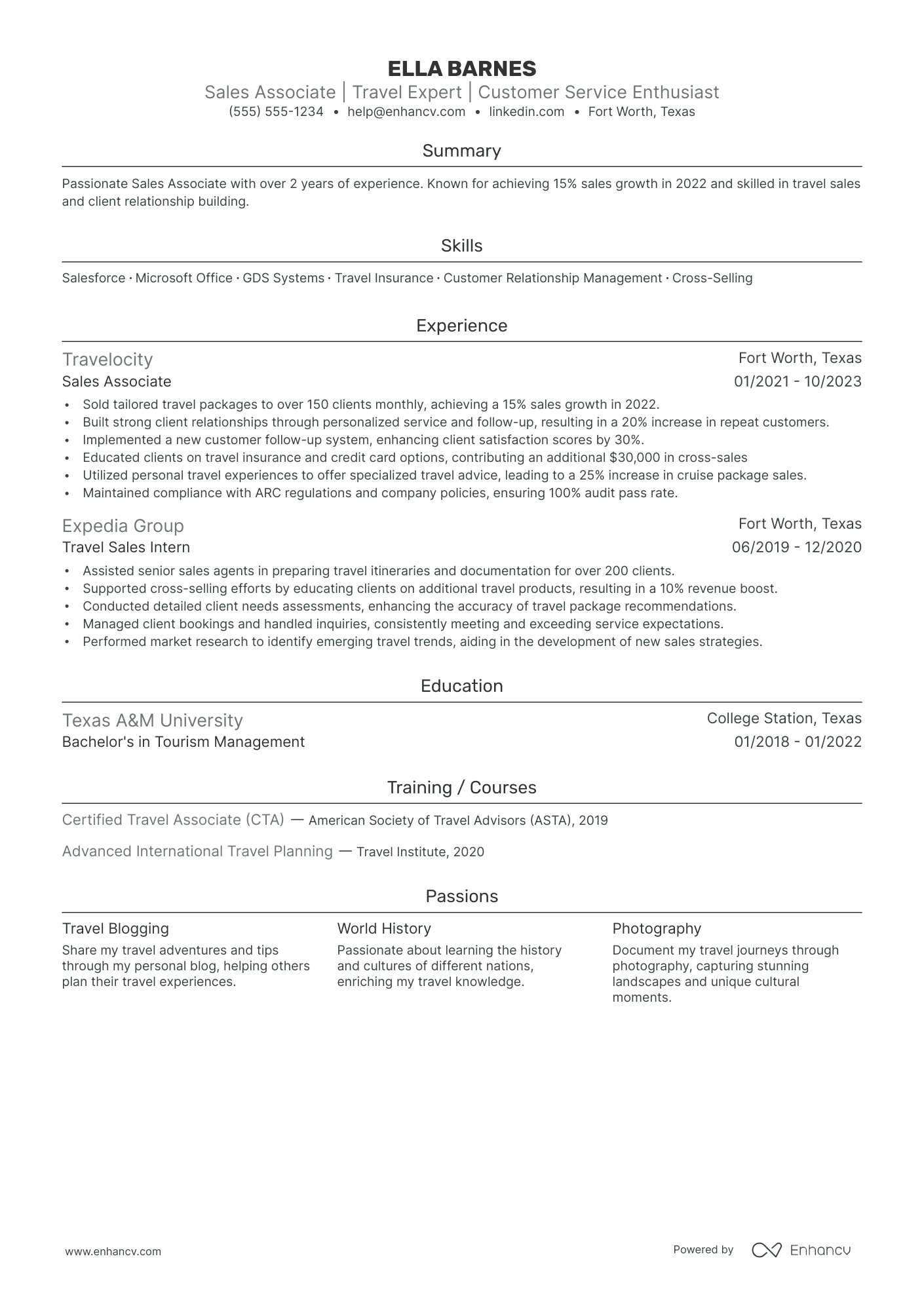 Independent Travel Agent resume example