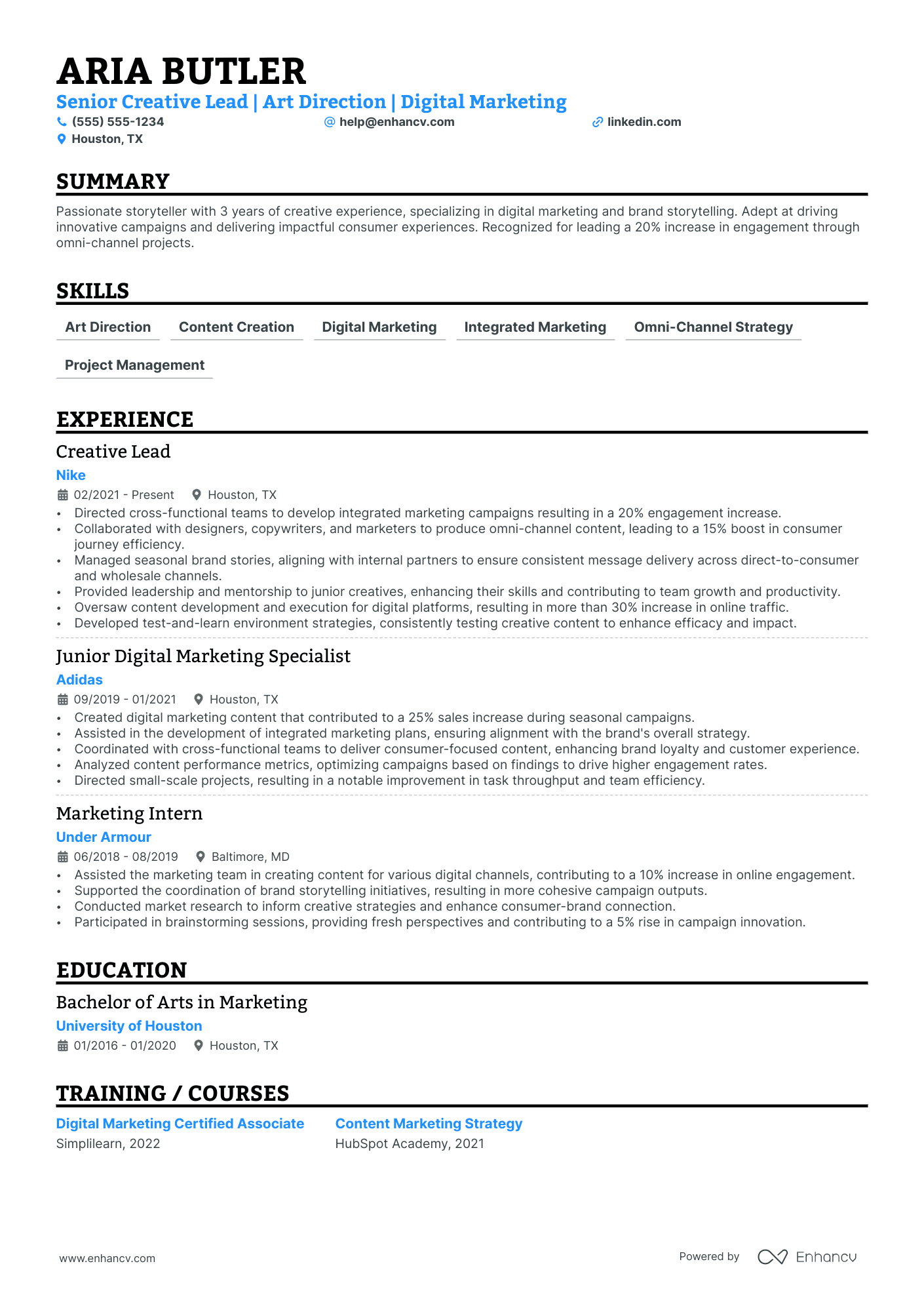 Lead Digital Creator resume example