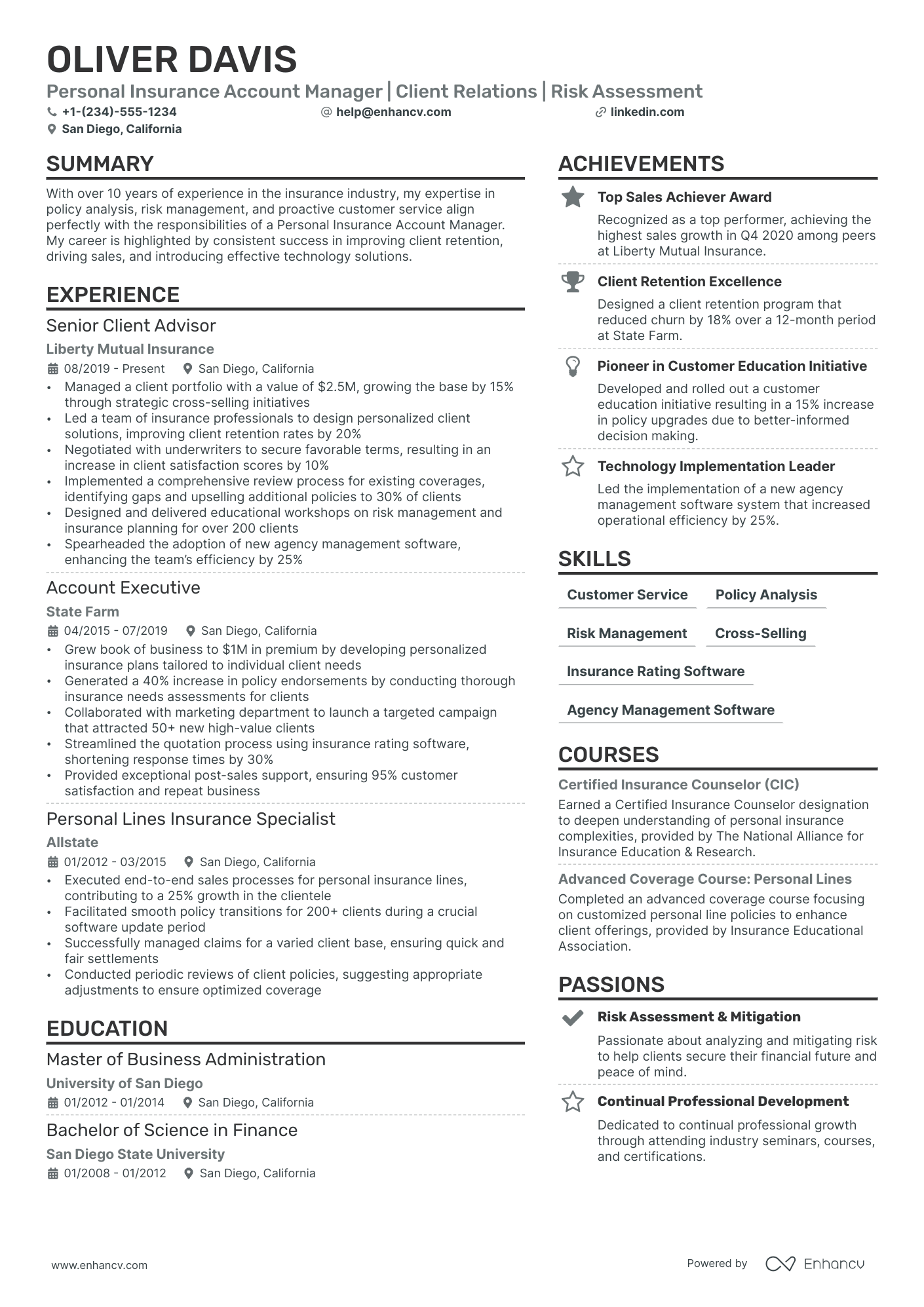 Insurance Account Manager resume example