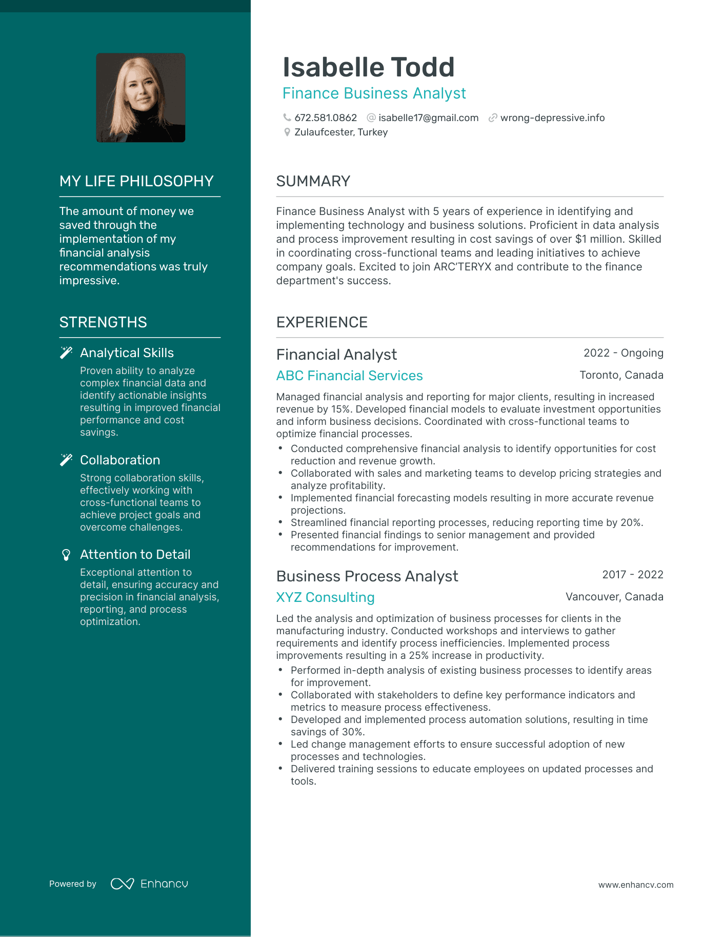Finance Business Analyst resume example