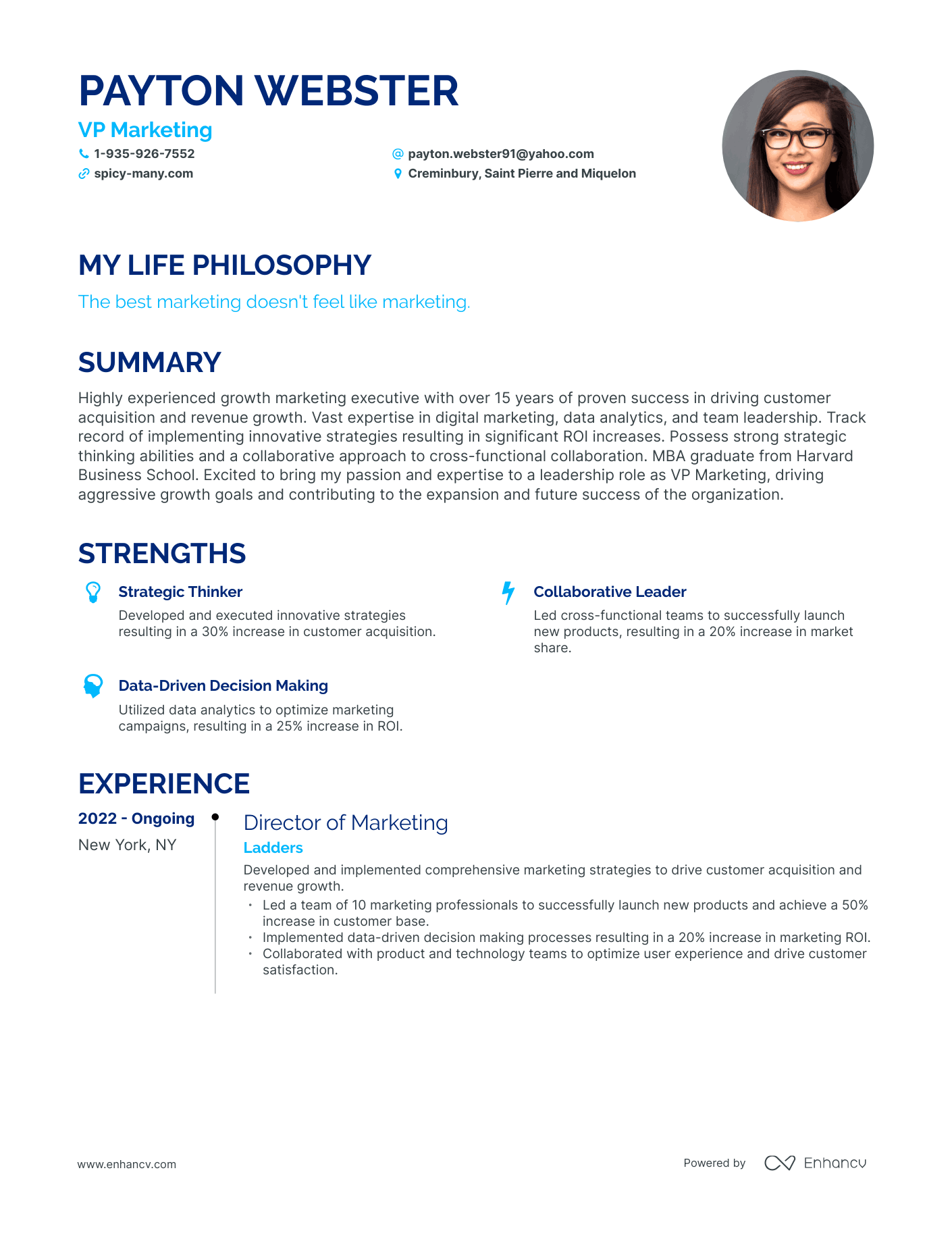 Creative VP Marketing Resume Example
