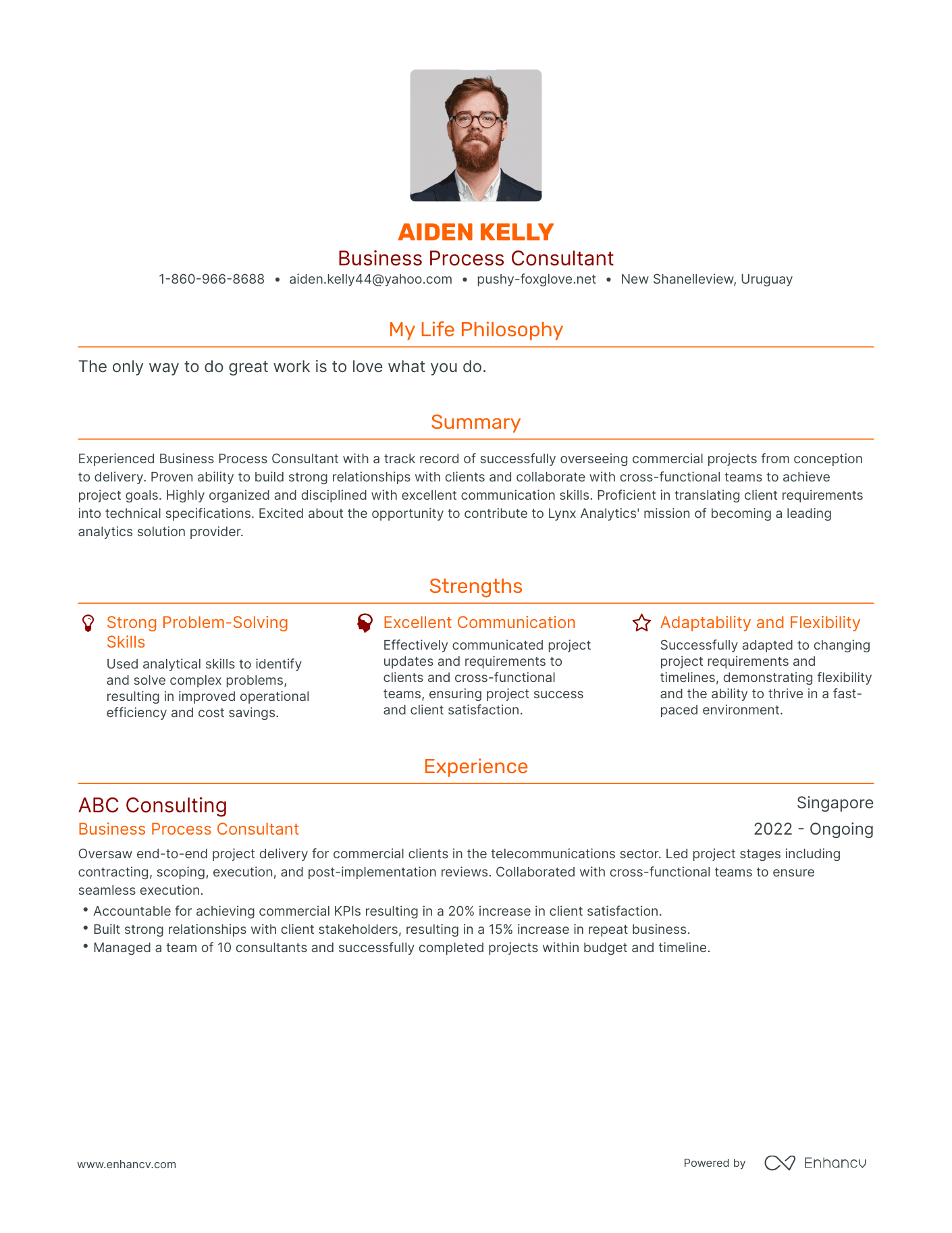 Modern Business Process Consultant Resume Example