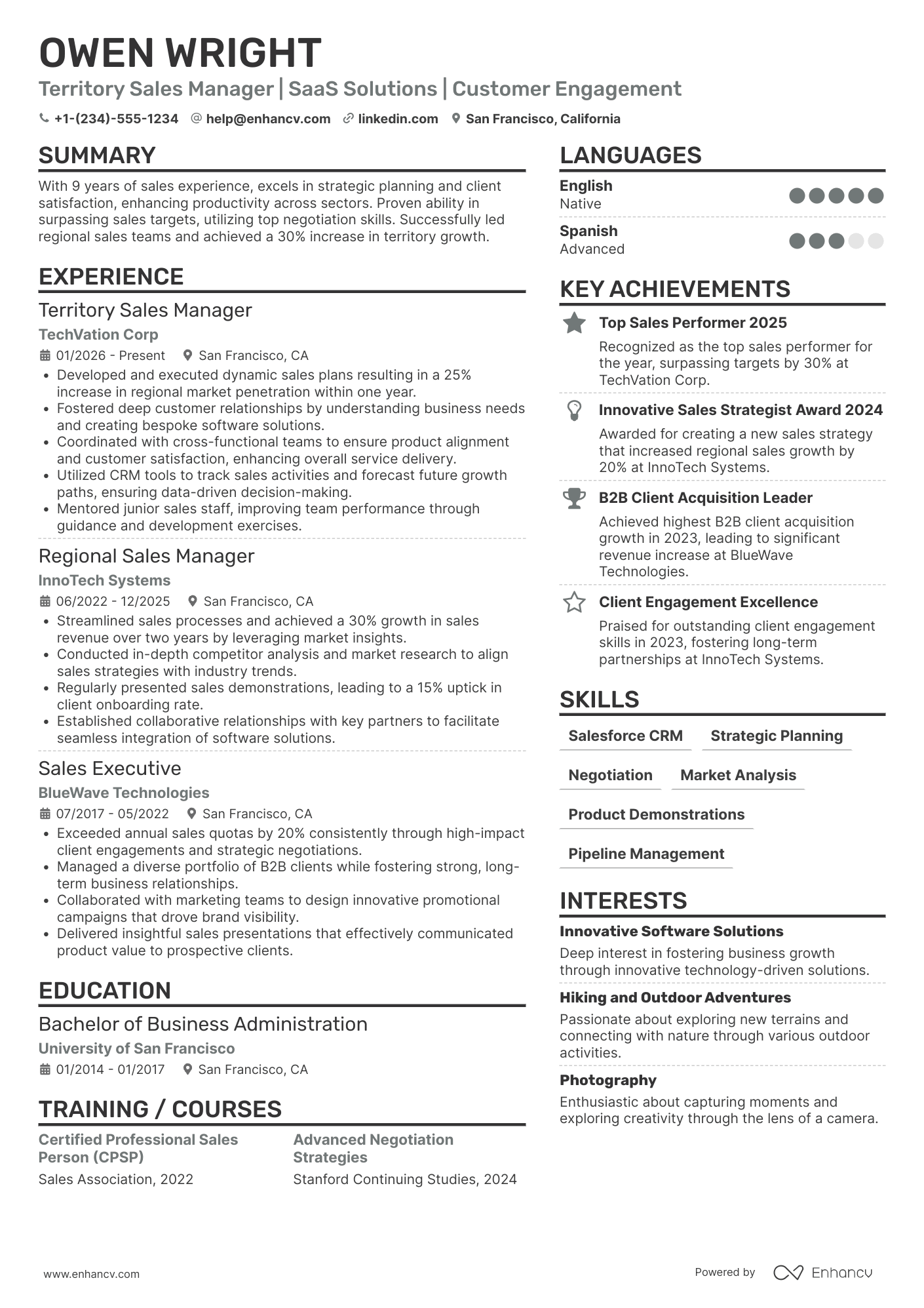 Territory Sales Manager resume example