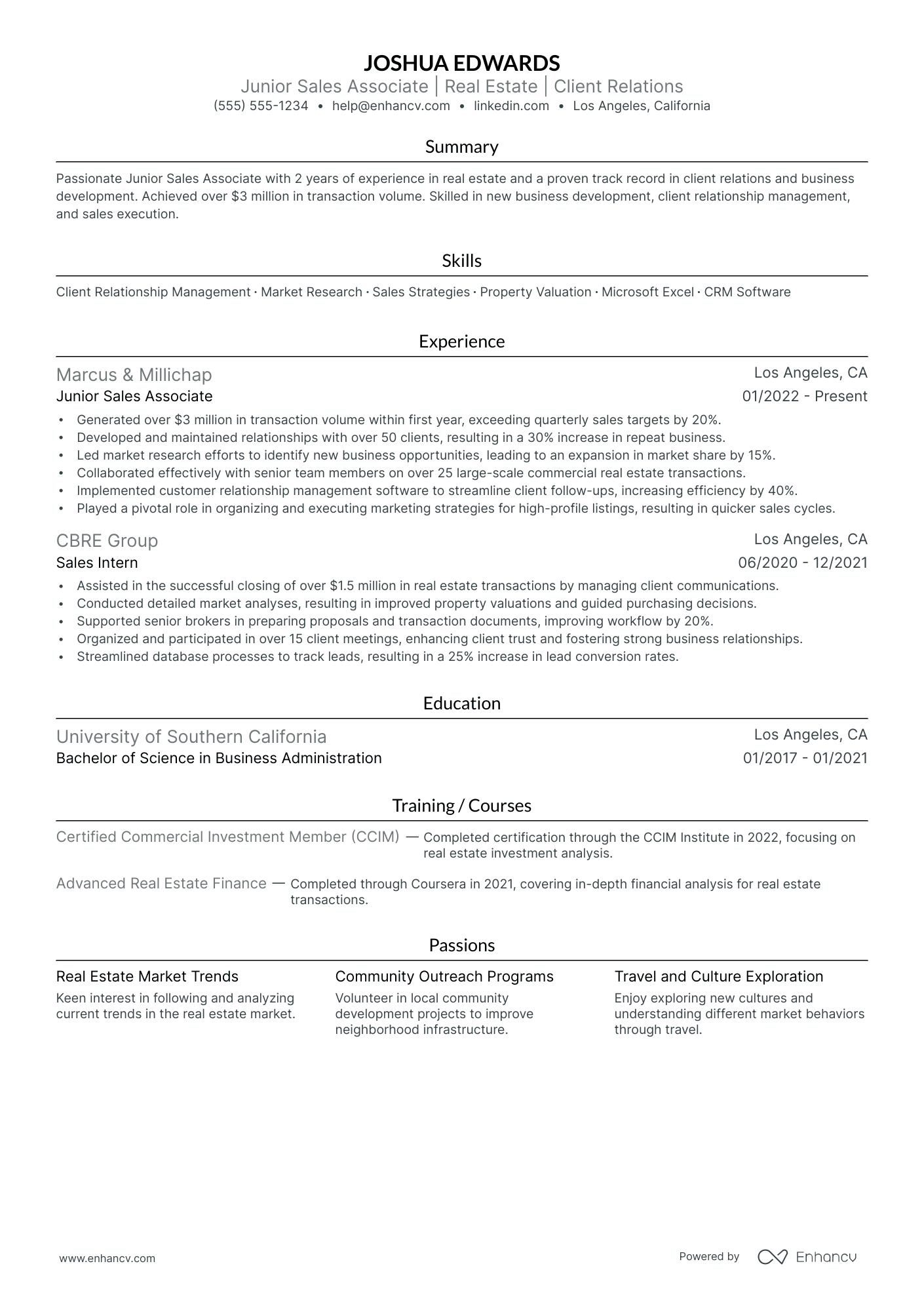 Real Estate Investment Agent resume example