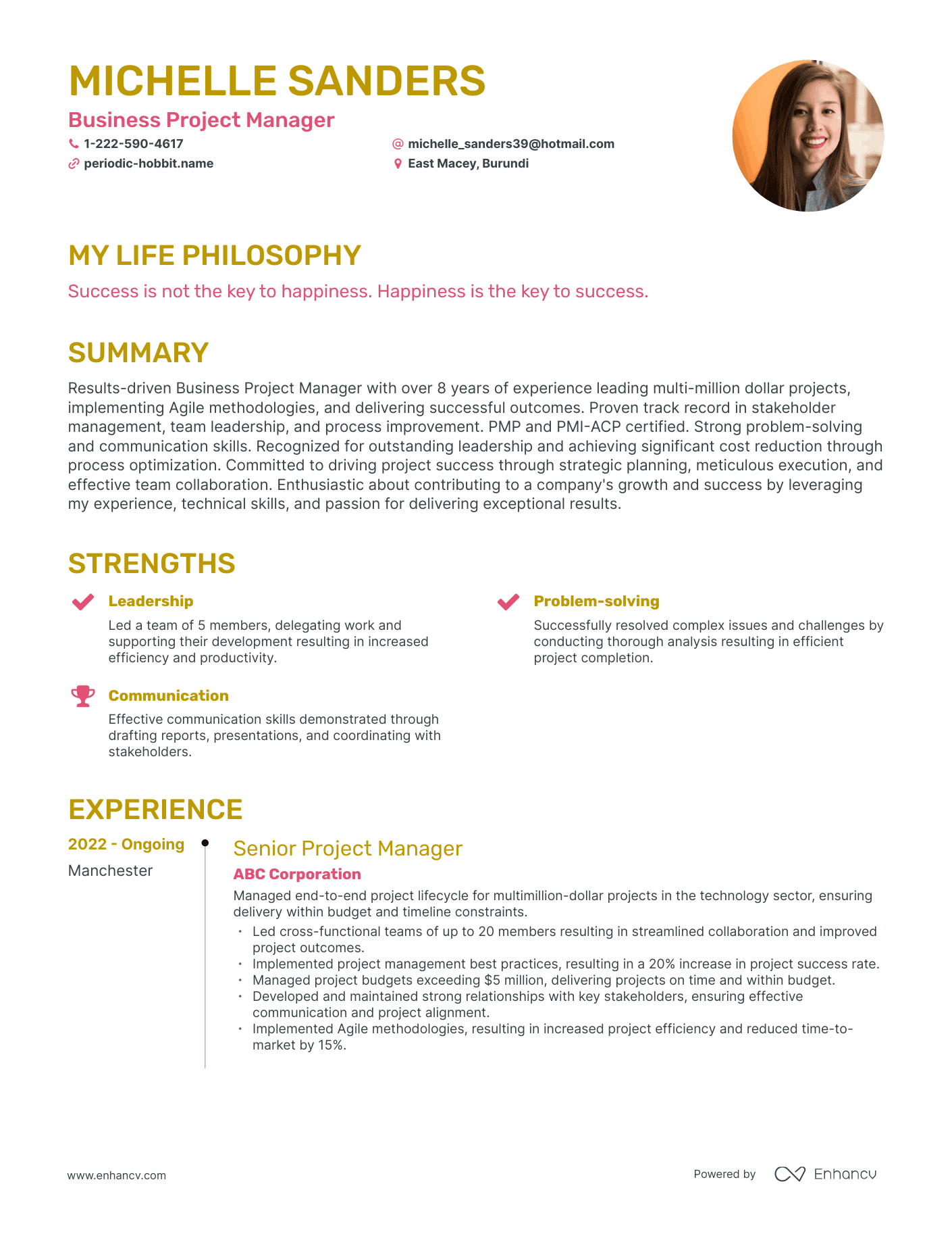 Creative Business Project Manager Resume Example