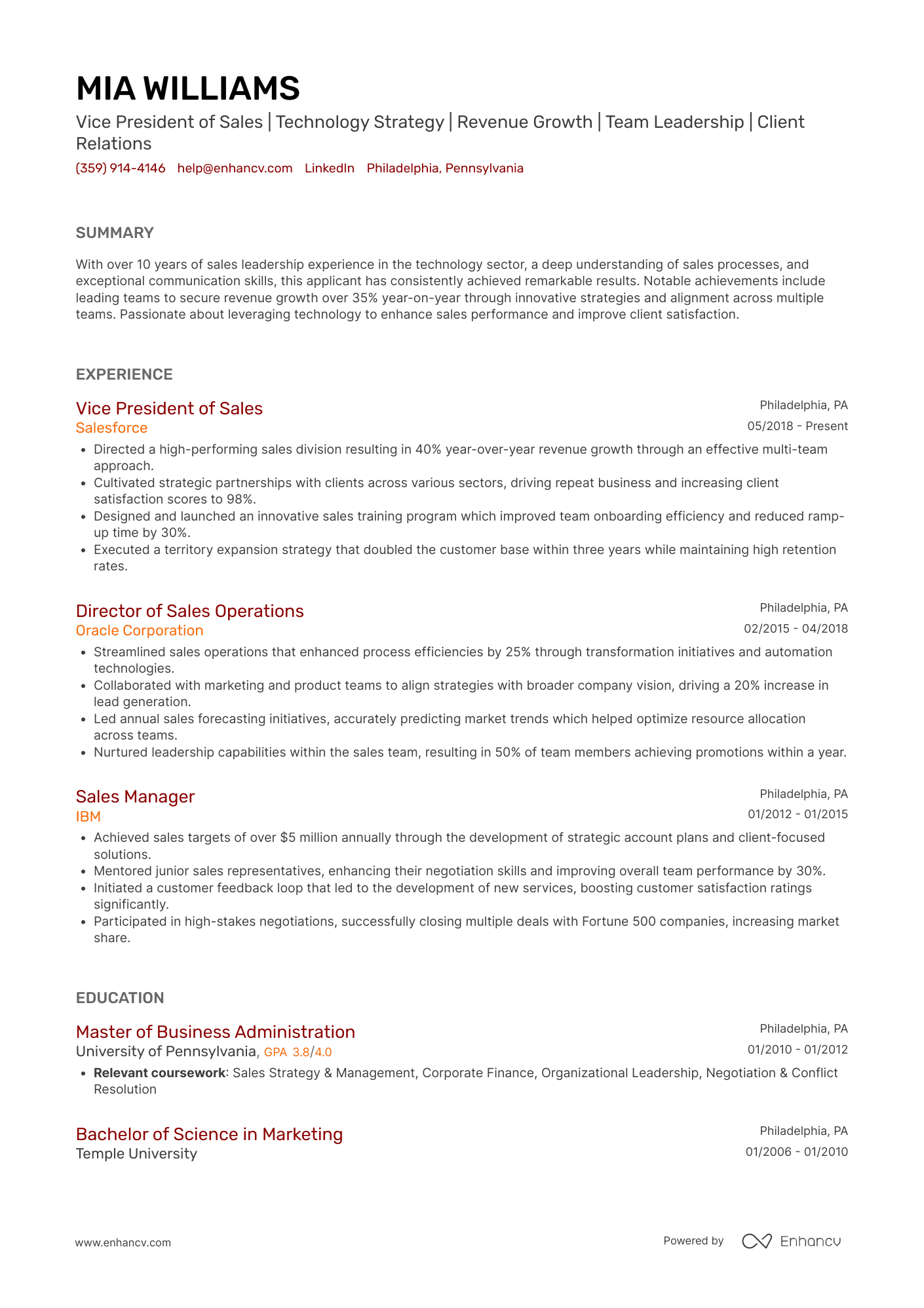 VP of Sales resume example