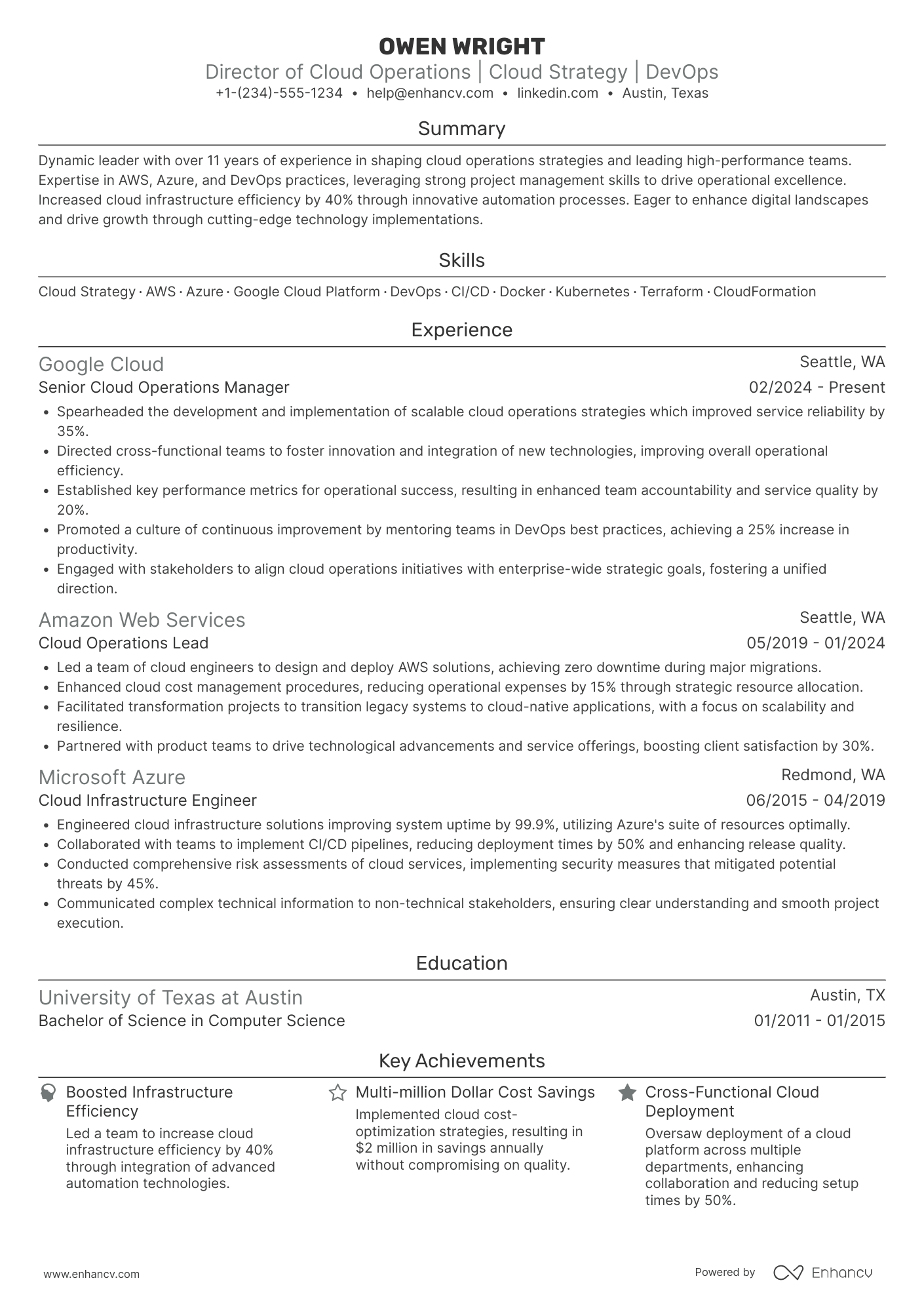 Director resume example