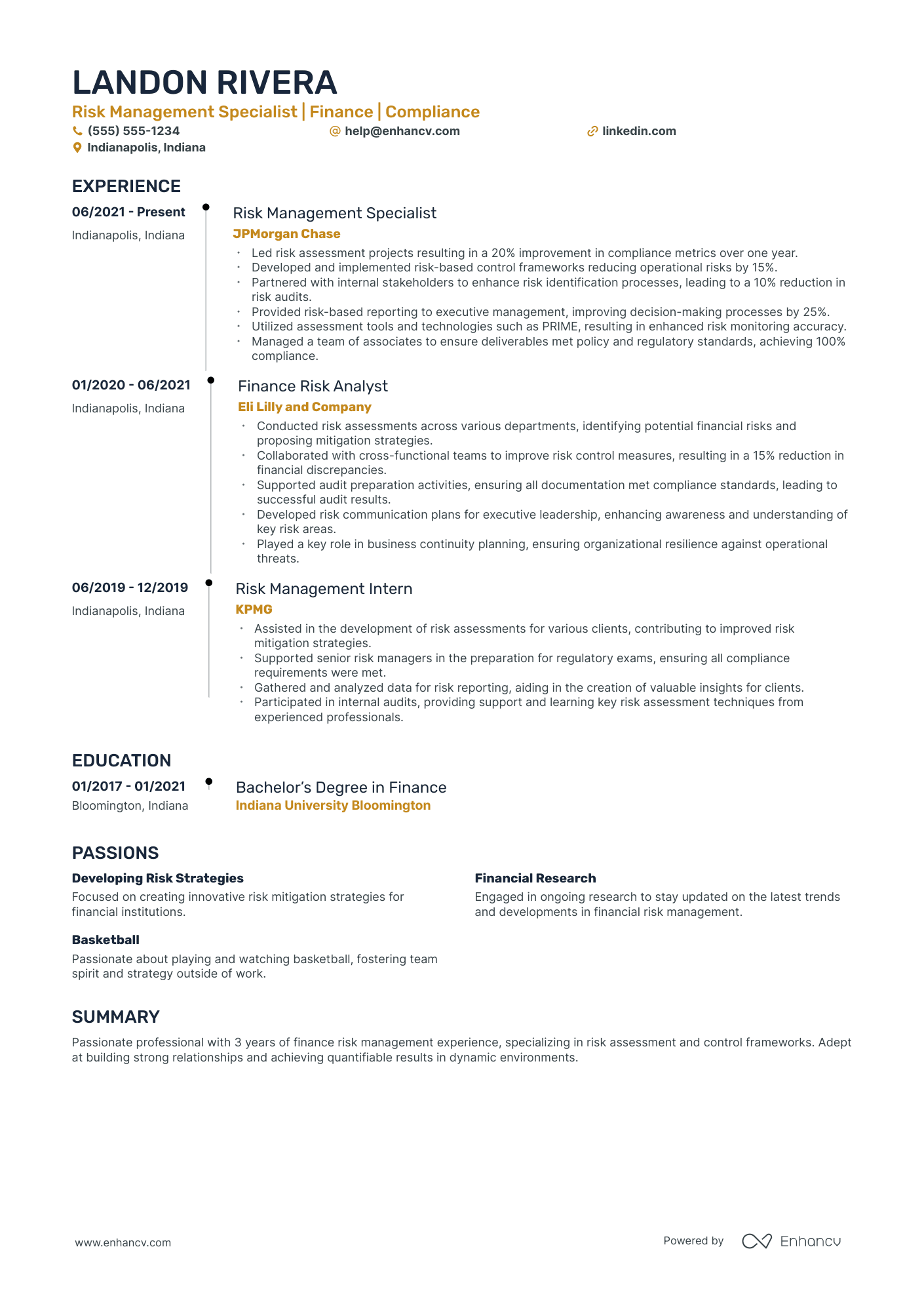 Finance Risk Manager resume example