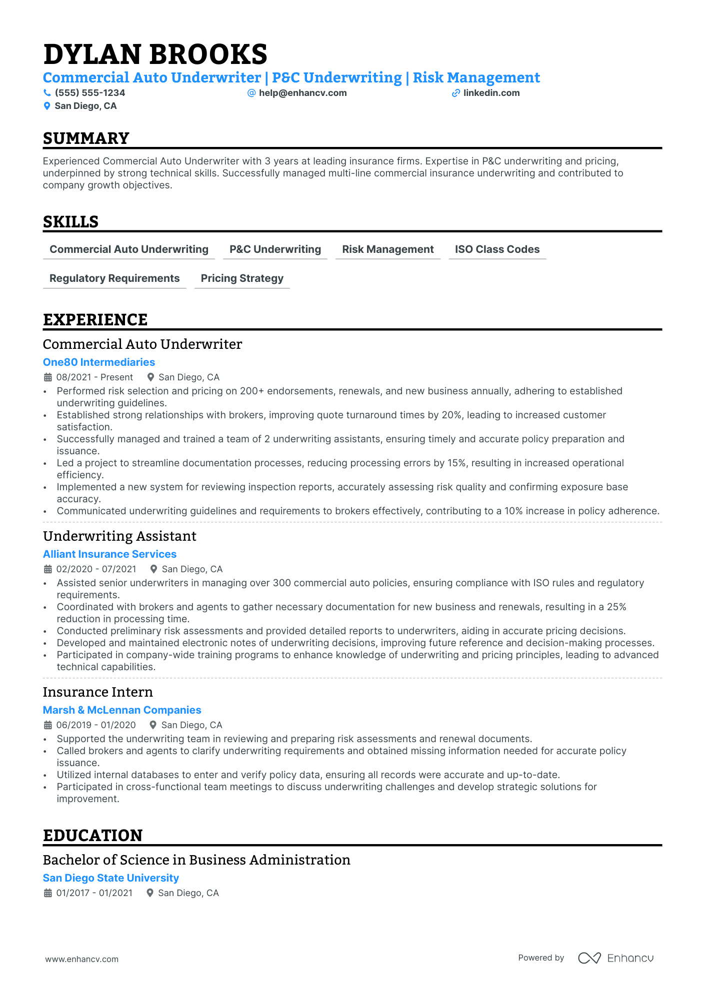 Auto Insurance Underwriter resume example