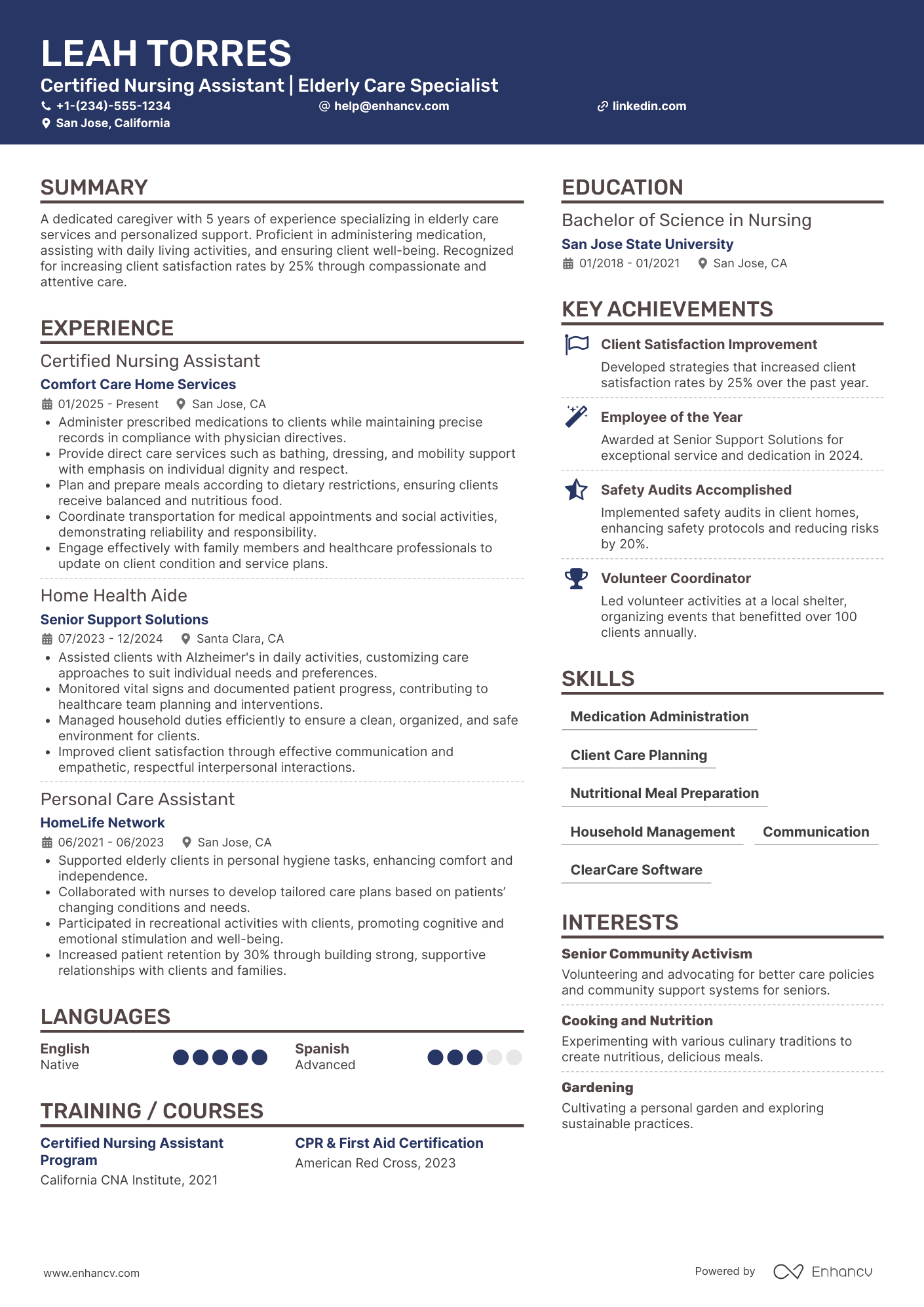 Elderly Caregiver resume example