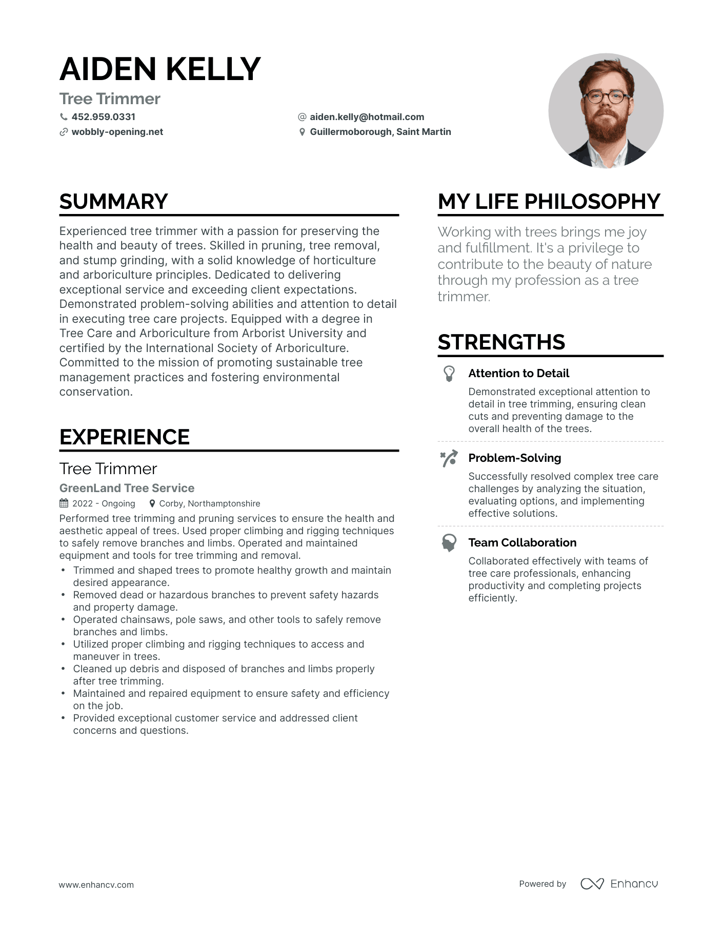 Modern Tree Trimmer Resume Example