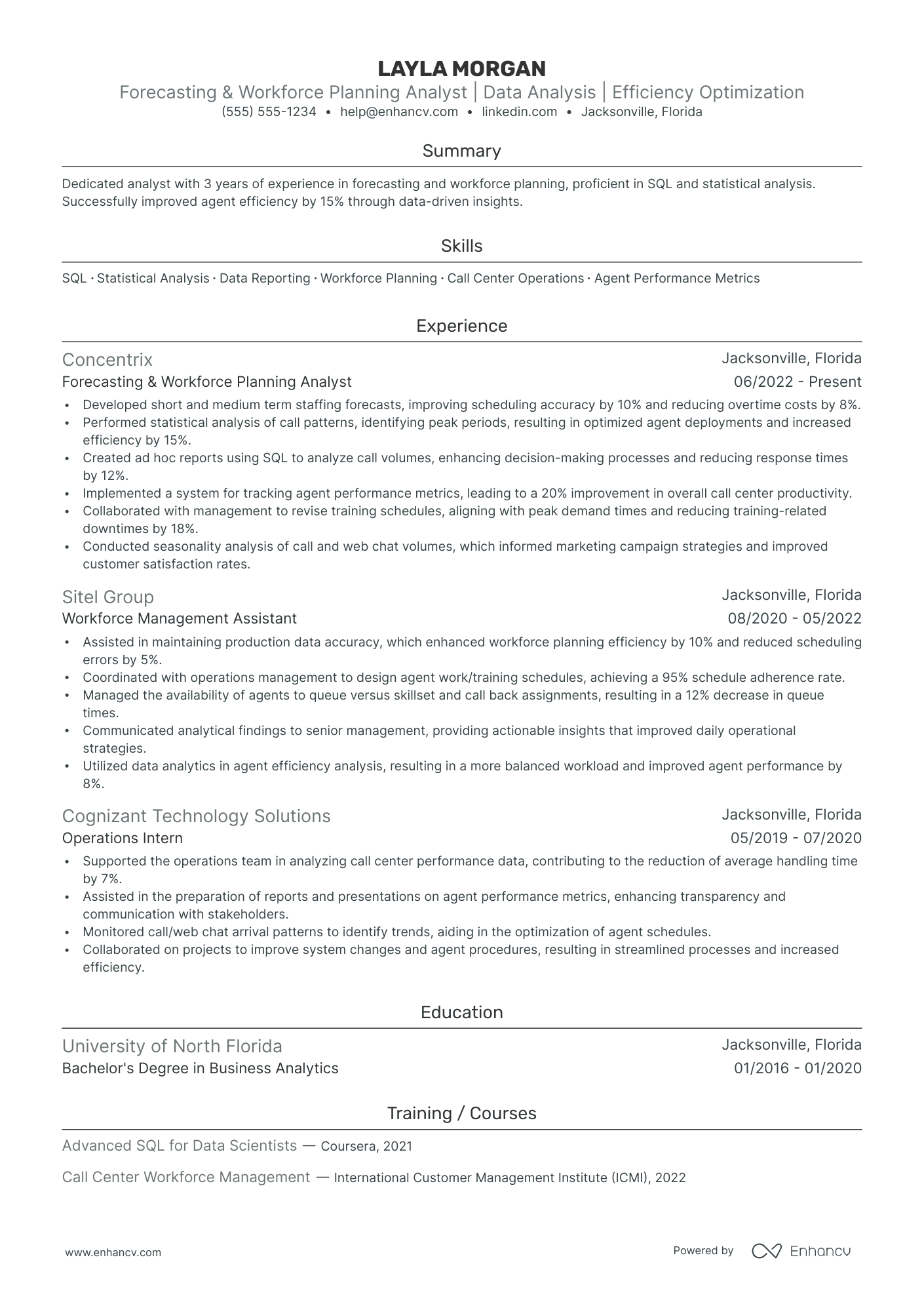 Call Center Workforce Planner resume example