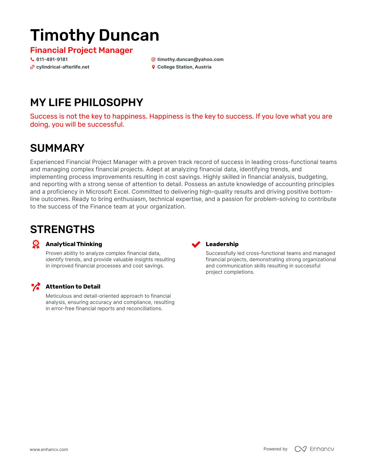 Creative Financial Project Manager Resume Example