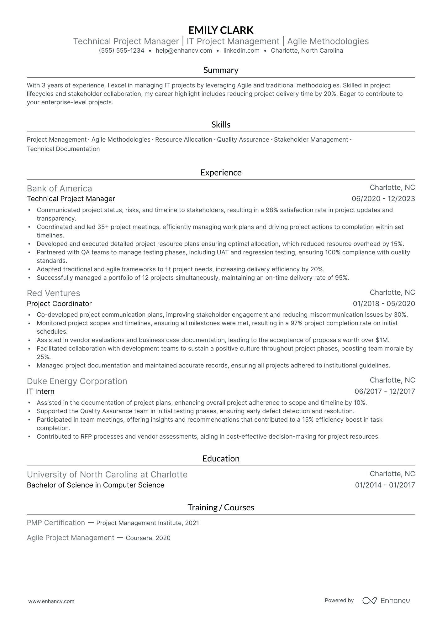 Technical Project Manager Analyst resume example