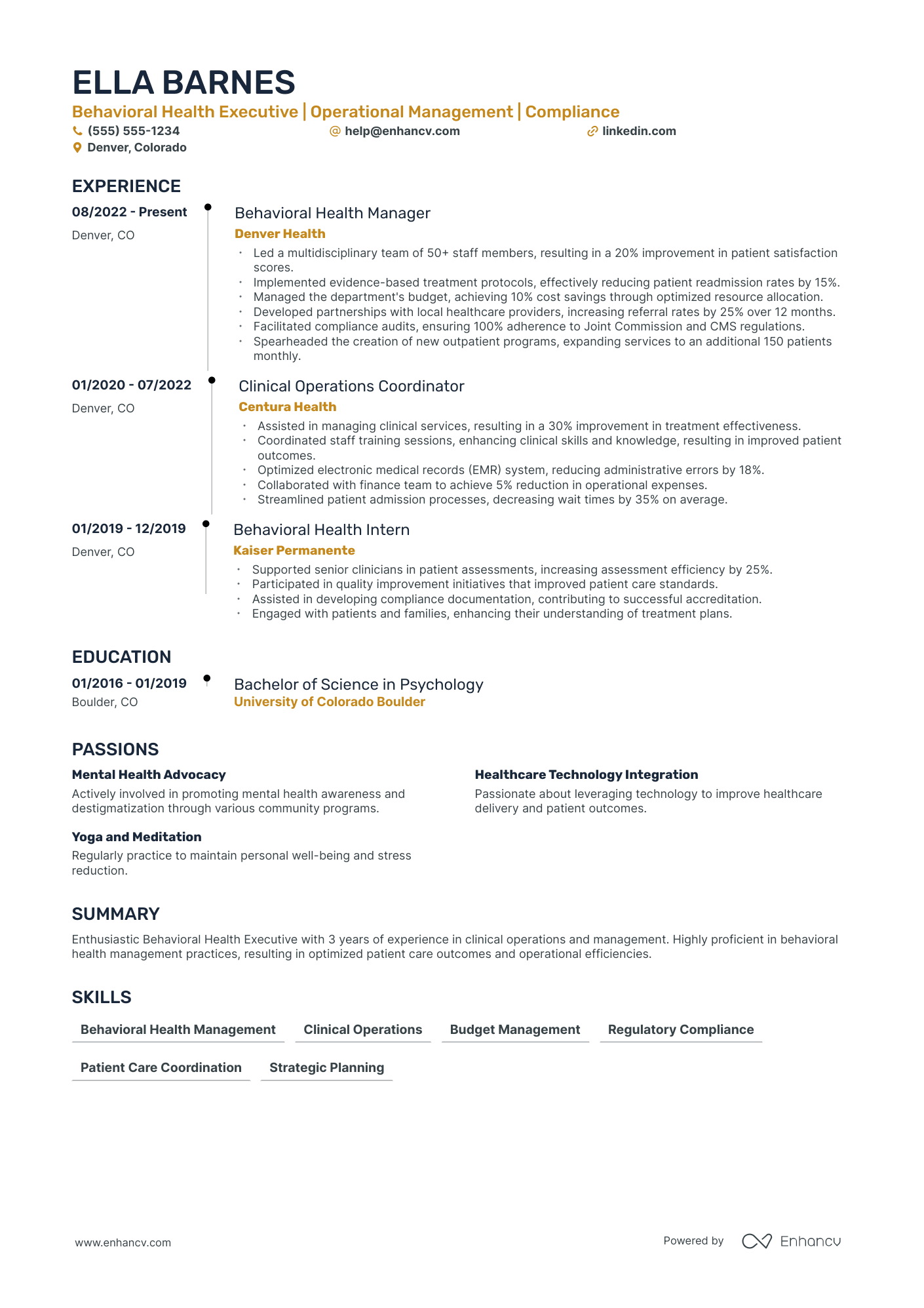 Chief Revenue Officer resume example