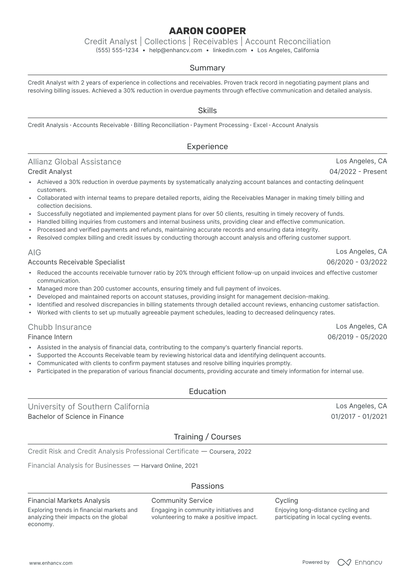 Credit Analyst resume example