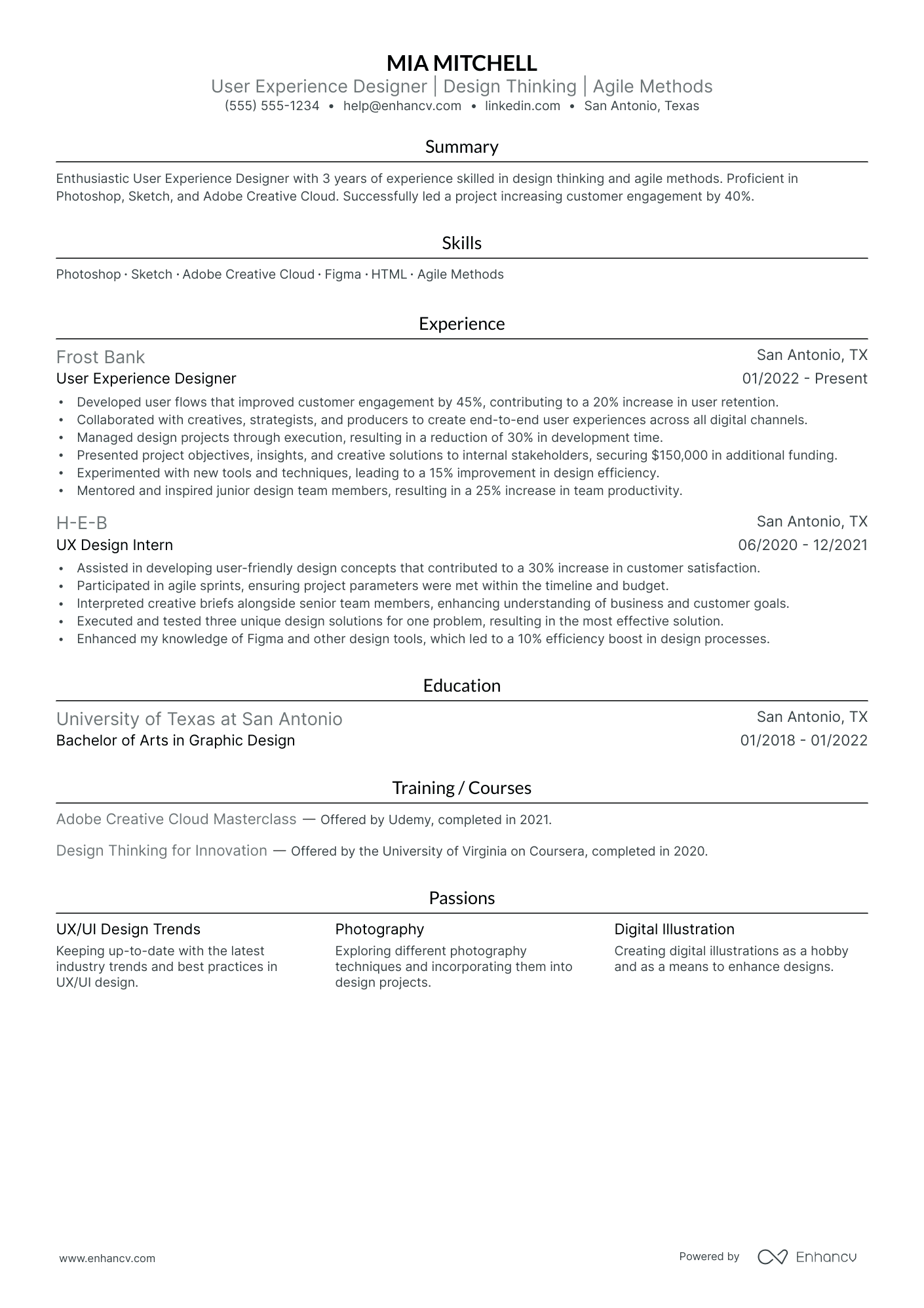 Lead Web Designera Resume Example Resume Example