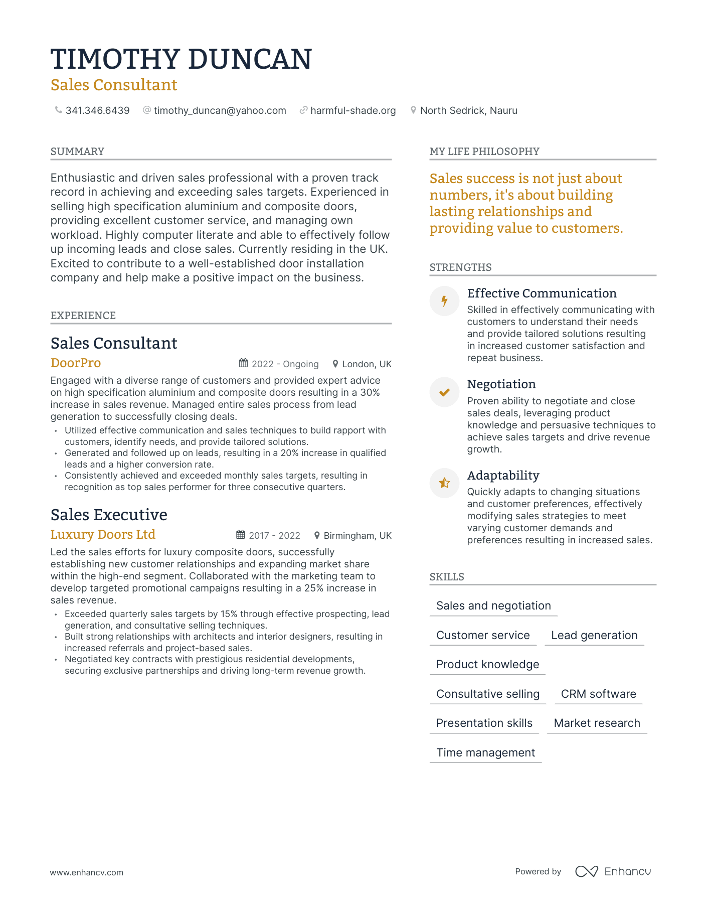 Modern Sales Consultant Resume Example