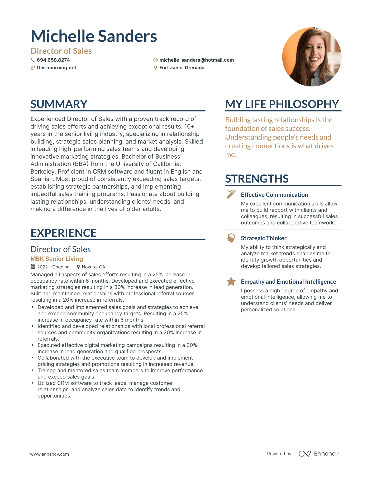Director of Sales resume example