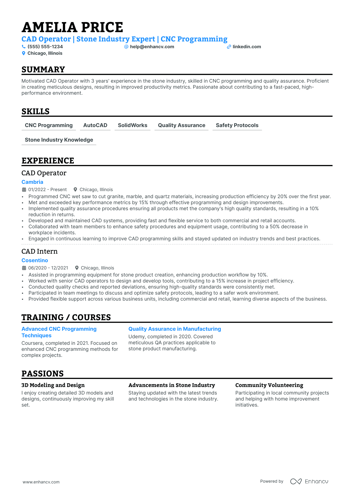 Programmer resume example